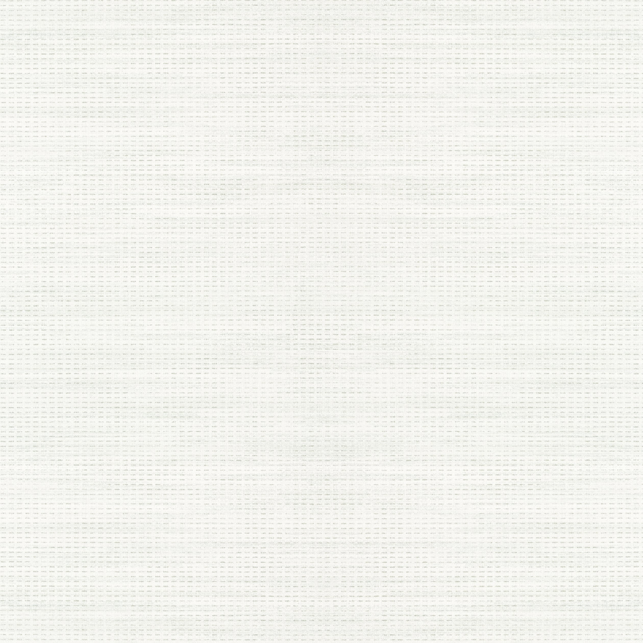 Journey fabric in off white color - pattern number T313 - by Thibaut in the Texture Resource Volume 6 collection