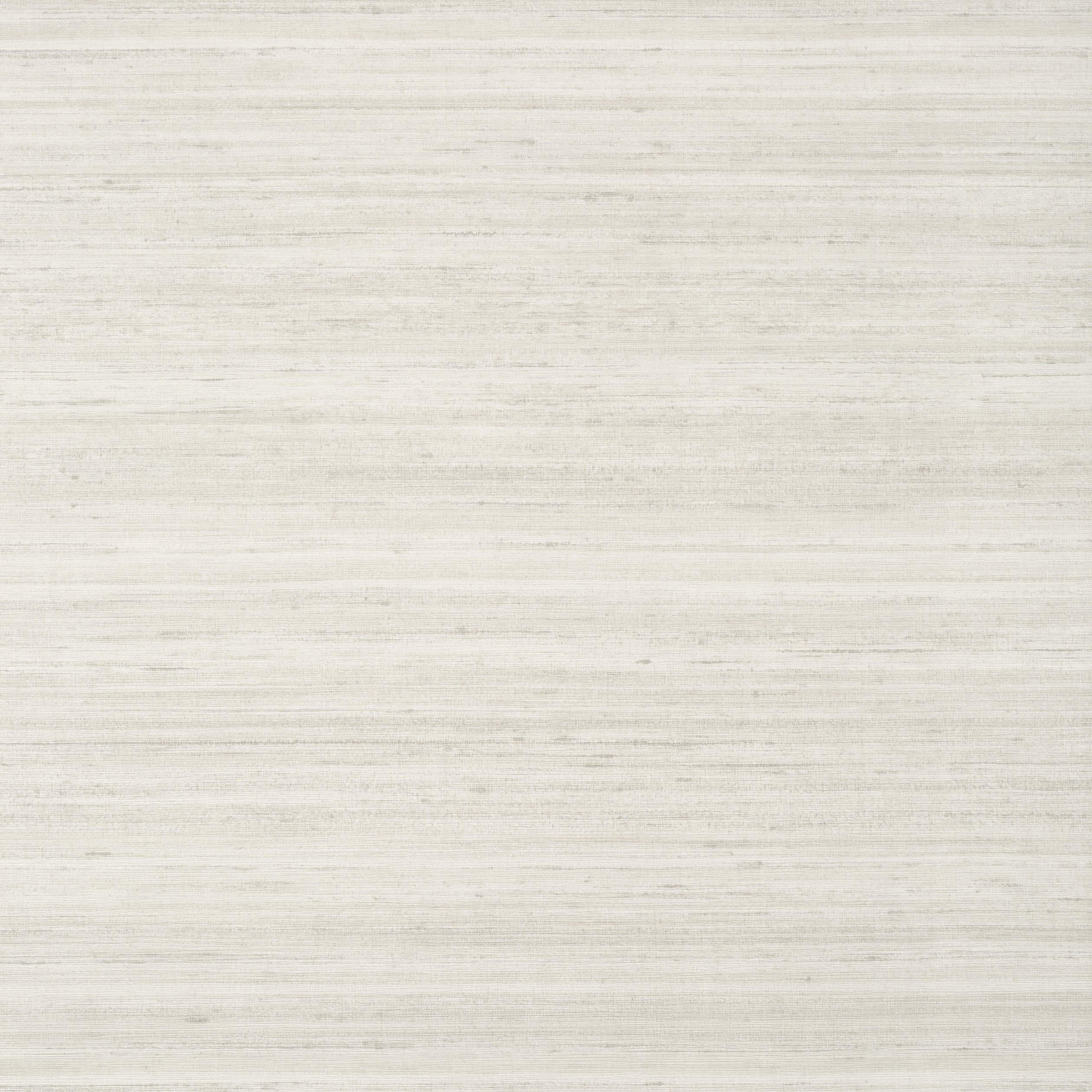 Wild Silk wallpaper in grey color - pattern number T329 - by Thibaut in the Texture Resource Volume 6 collection