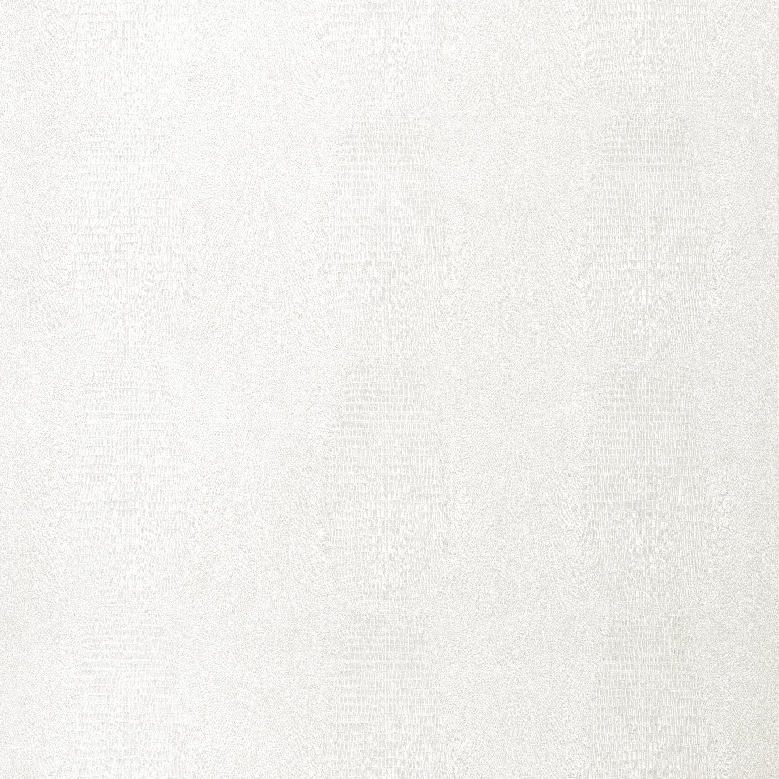 Kissimmee wallpaper in white color - pattern number T34019 - by Thibaut in the Texture Resource Volume 9 collection