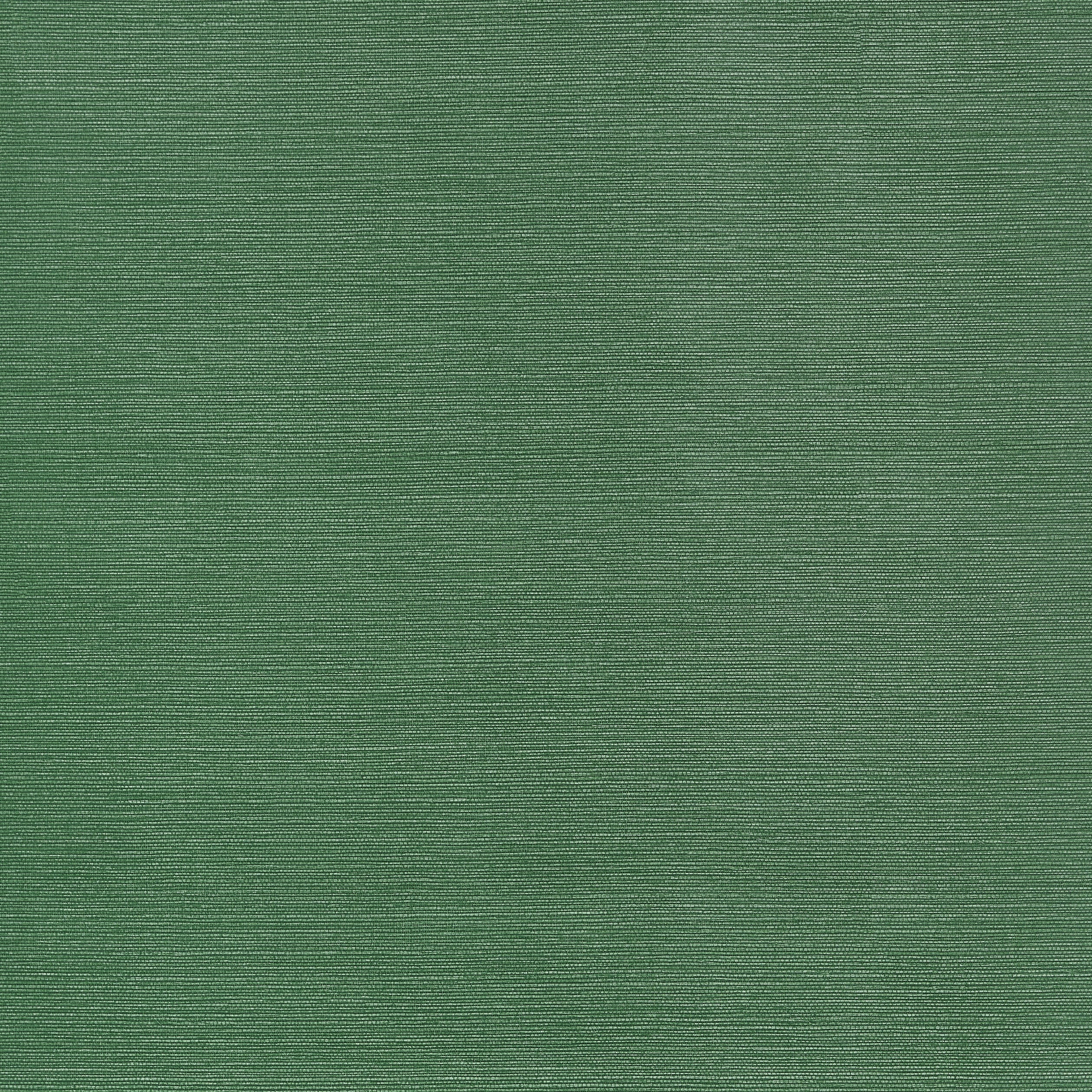 Taluk Sisal wallpaper in forest green color - pattern number T34039 - by Thibaut in the Texture Resource Volume 9 collection