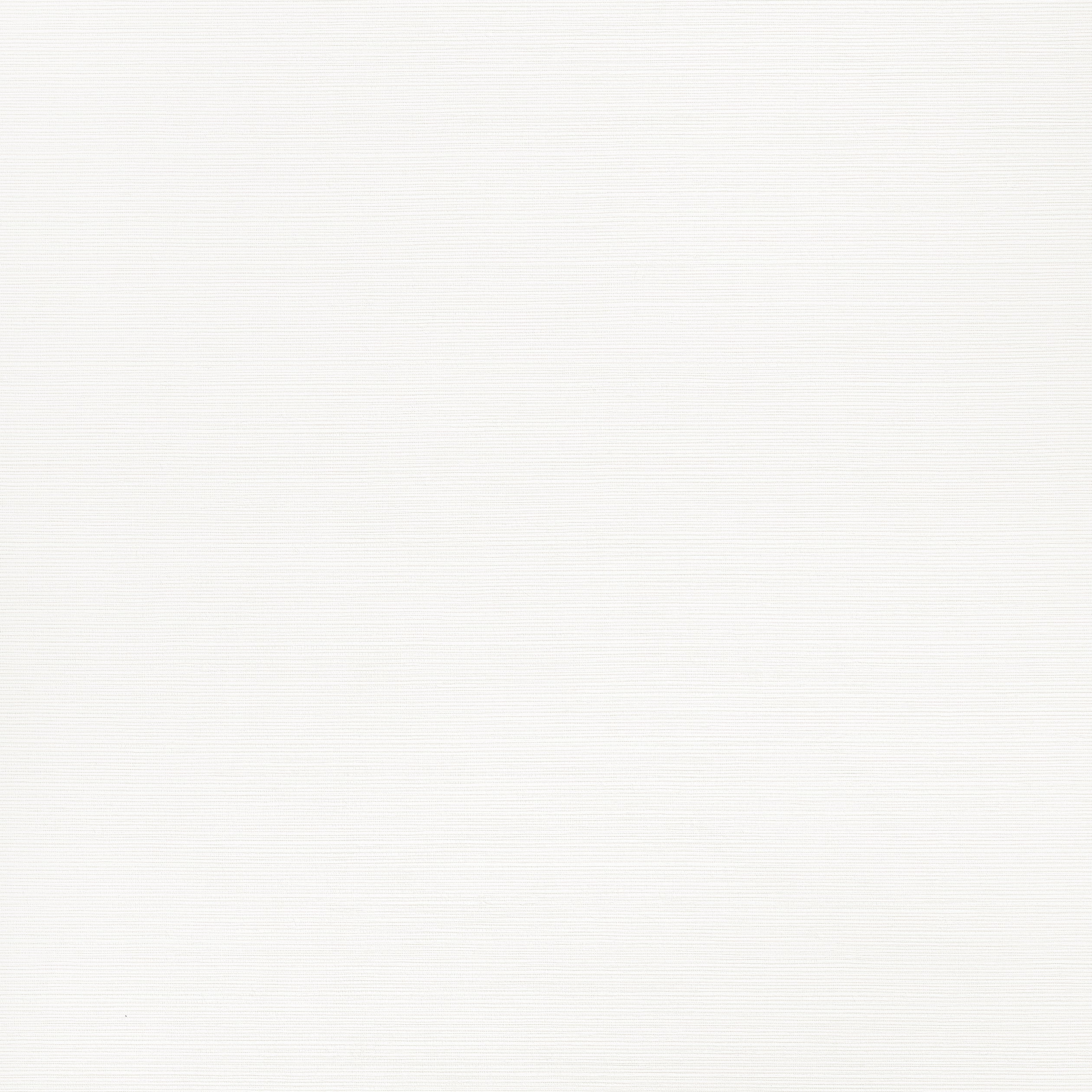 Taluk Sisal wallpaper in bright white color - pattern number T34041 - by Thibaut in the Texture Resource Volume 9 collection