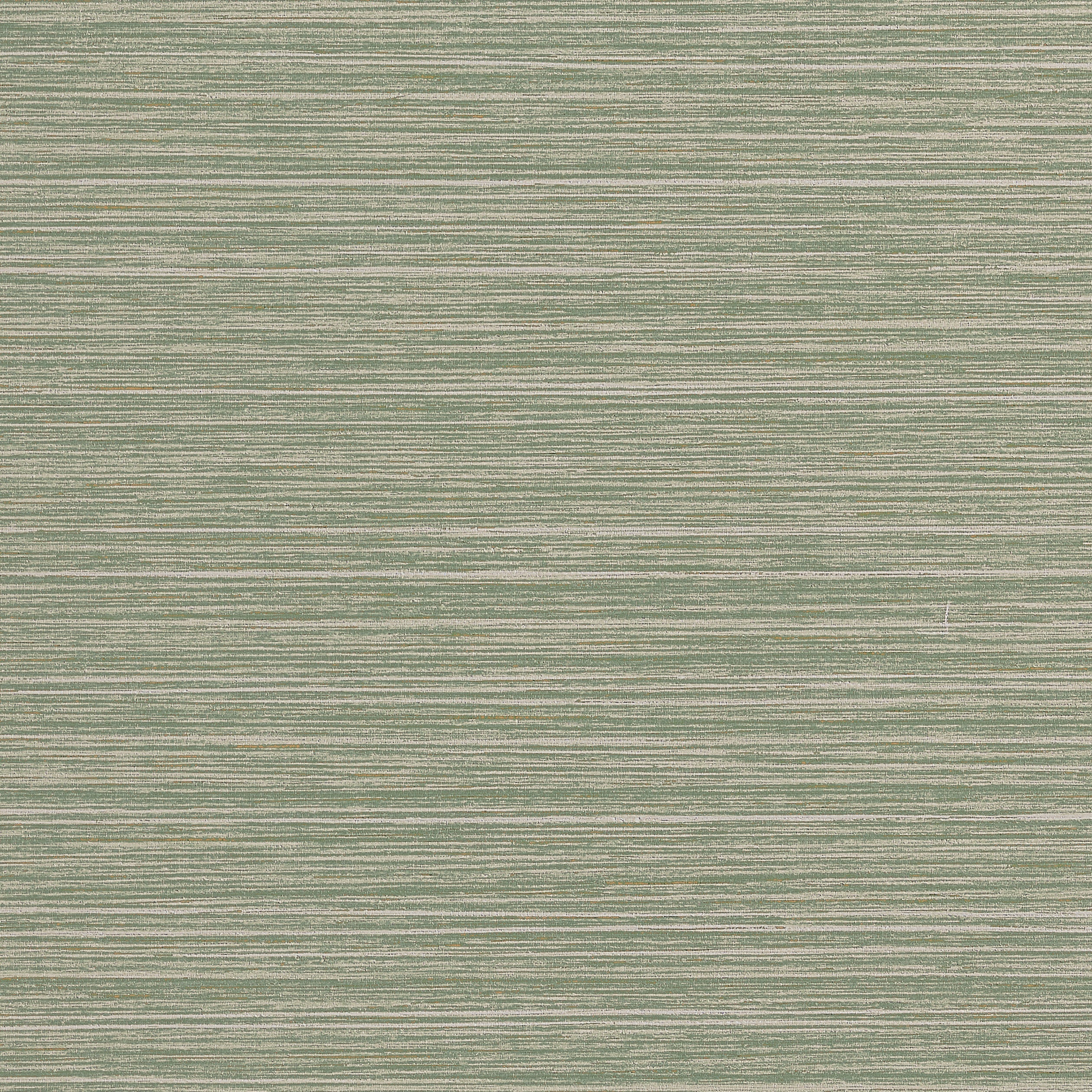 Tenaya wallpaper in sage color - pattern number T34069 - by Thibaut in the Texture Resource Volume 9 collection