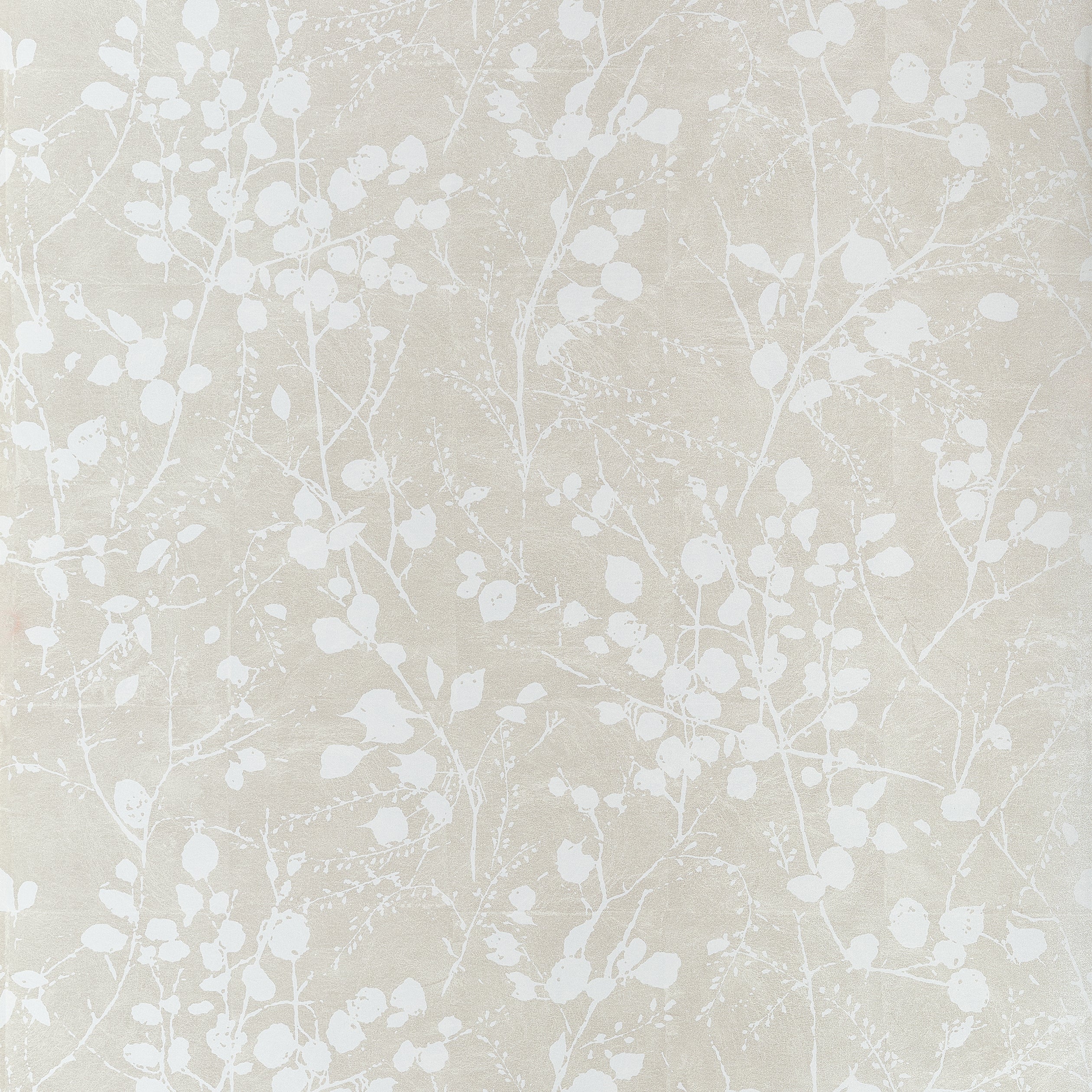 Katamari Bud wallpaper in pearl and white color - pattern number T34096 - by Thibaut in the Texture Resource Volume 9 collection