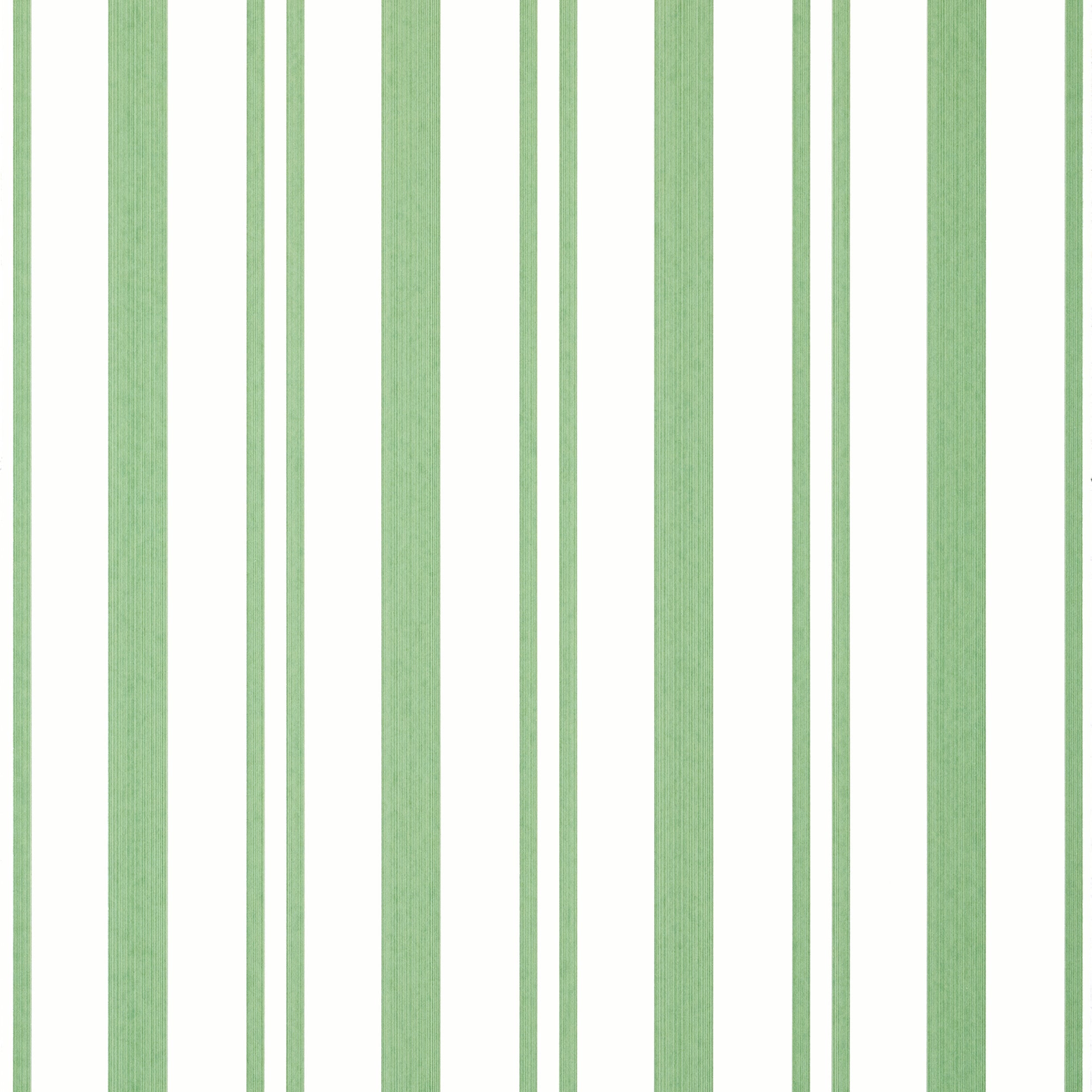 Maggie Stripe wallpaper in green color - pattern number T36458 - by Thibaut in the Indienne collection