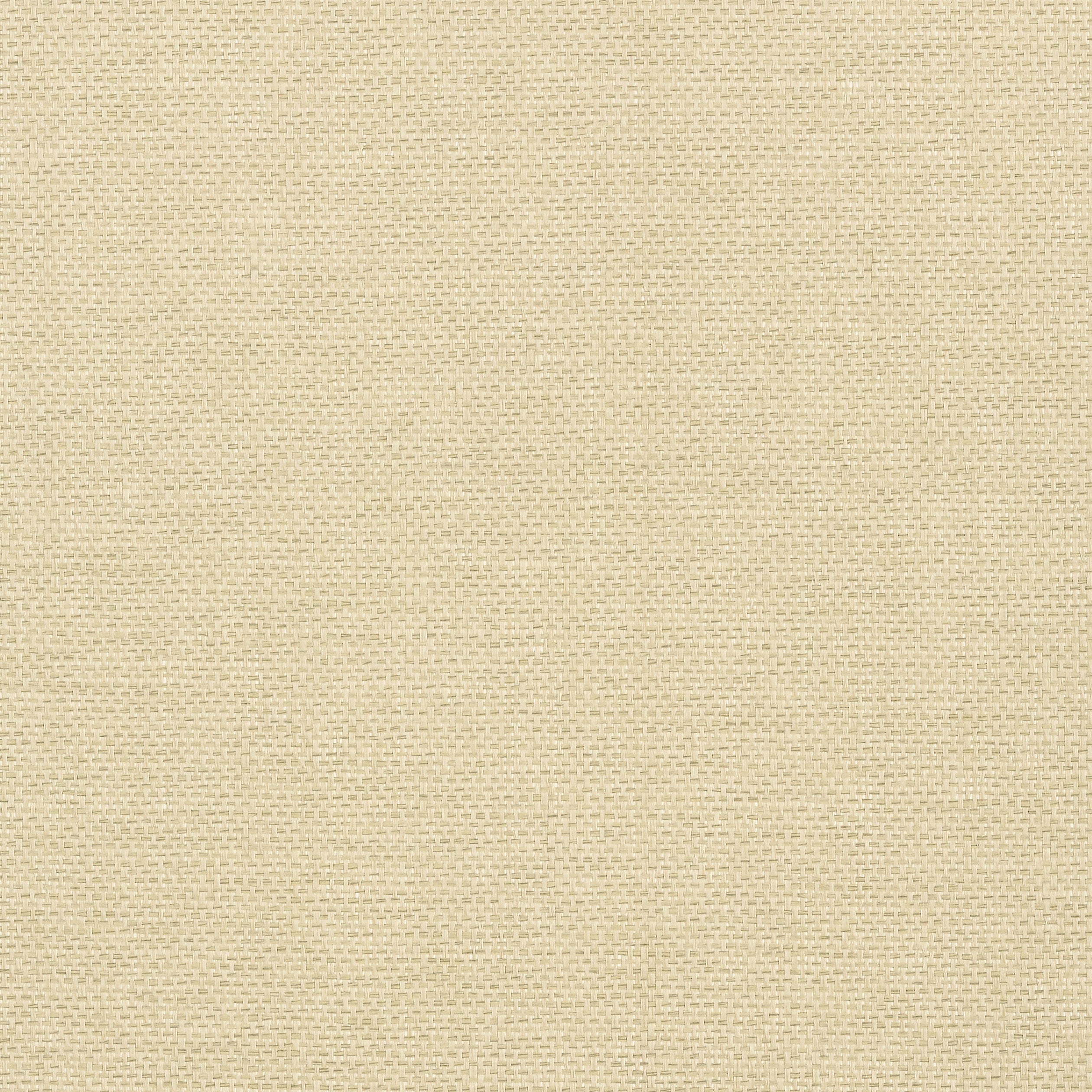 Adriatic fabric in sand color - pattern number T41125 - by Thibaut in the Grasscloth Resource Volume 3 collection