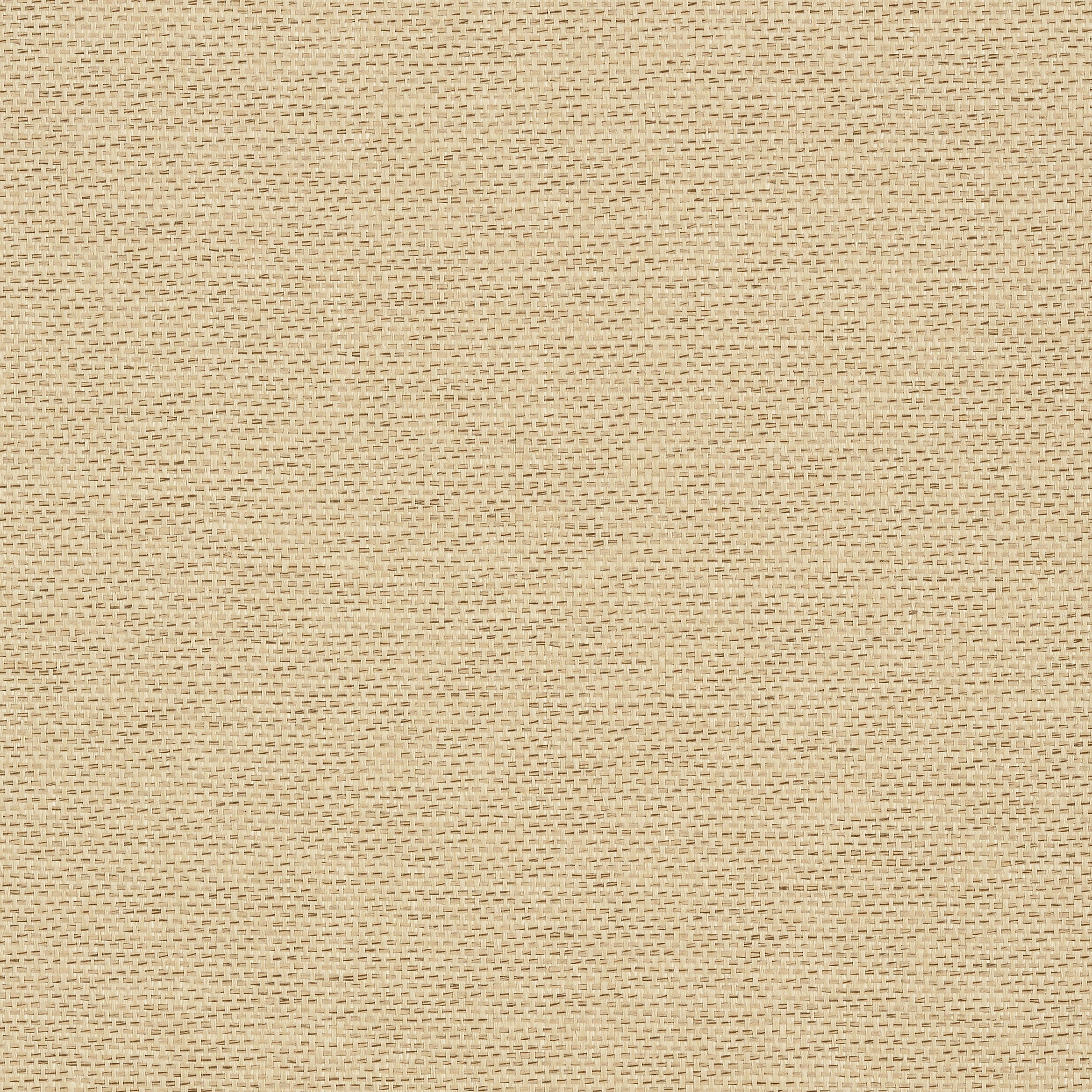 Adriatic fabric in beige and black color - pattern number T41129 - by Thibaut in the Grasscloth Resource Volume 3 collection