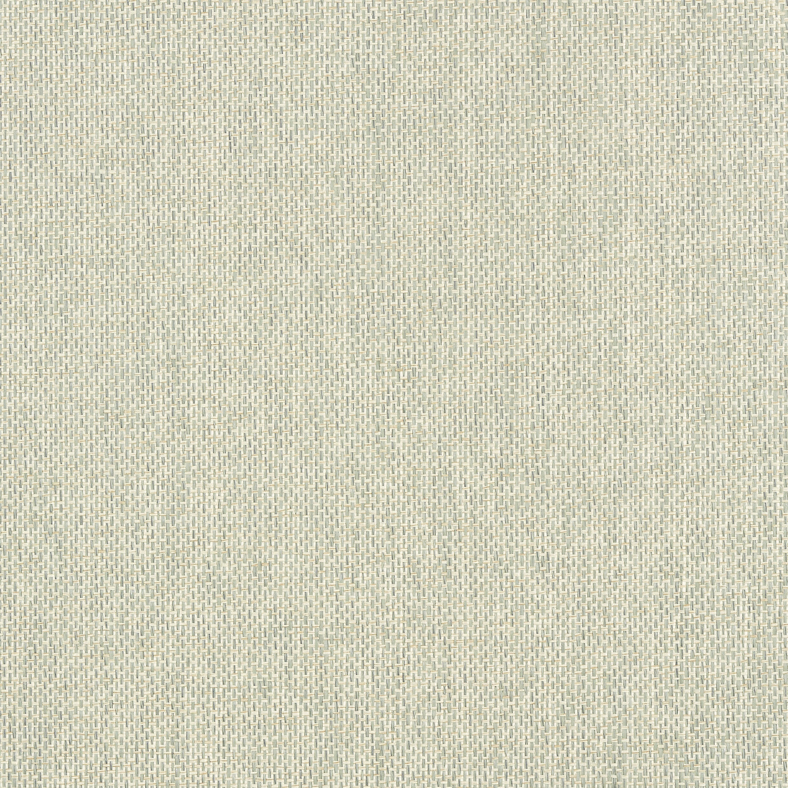 Adriatic fabric in cream and grey color - pattern number T41132 - by Thibaut in the Grasscloth Resource Volume 3 collection