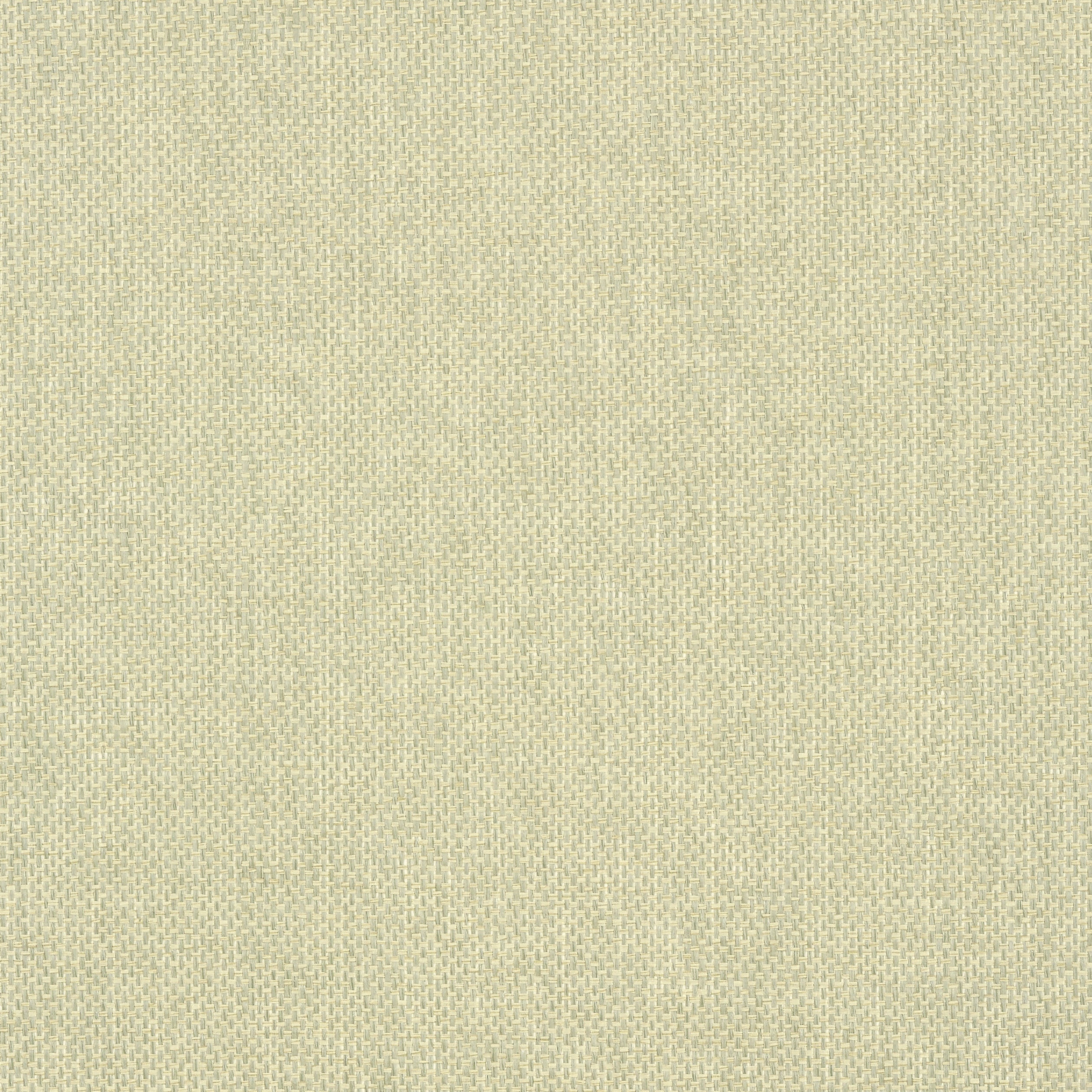 Adriatic fabric in sage color - pattern number T41134 - by Thibaut in the Grasscloth Resource Volume 3 collection