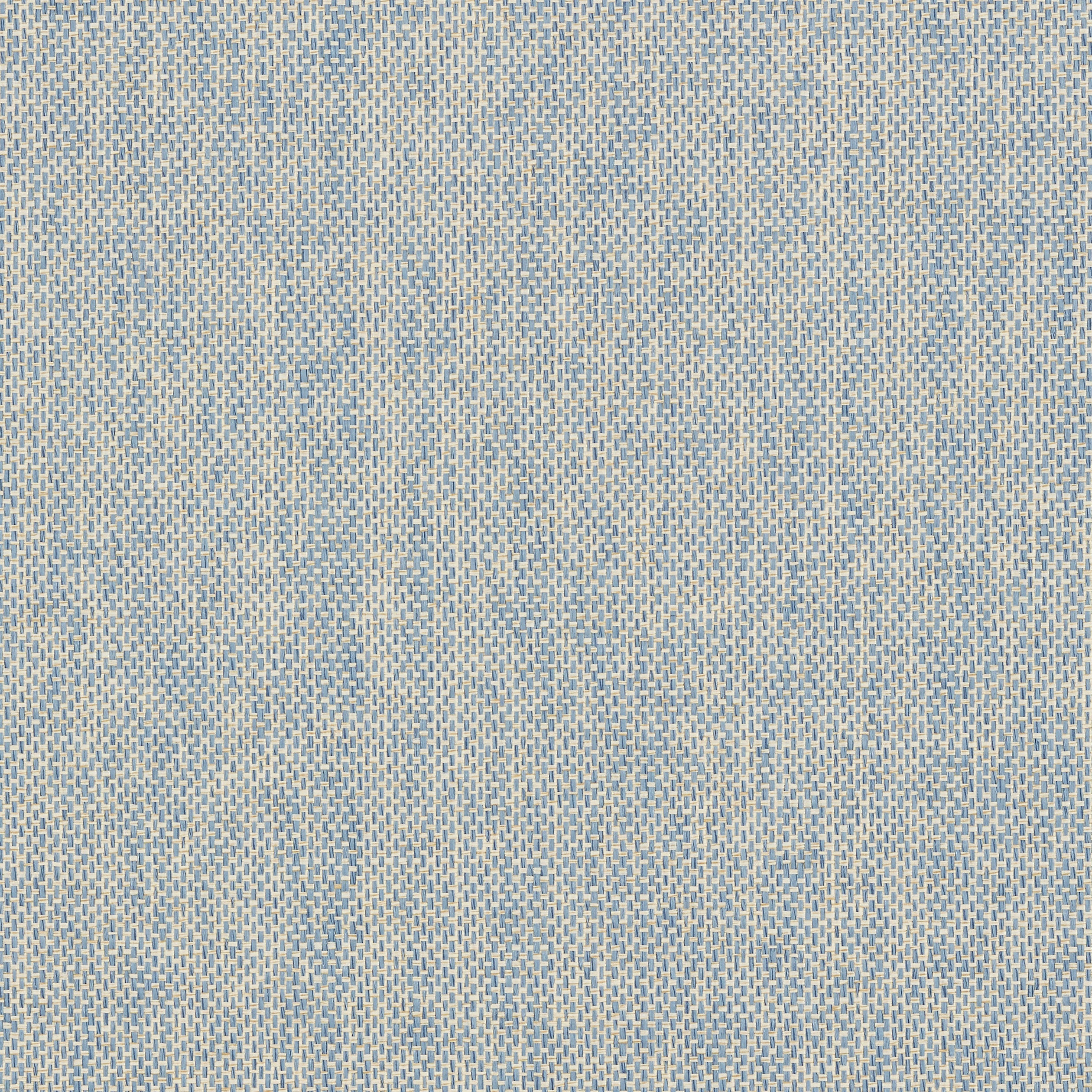 Adriatic fabric in sky blue color - pattern number T41136 - by Thibaut in the Grasscloth Resource Volume 3 collection
