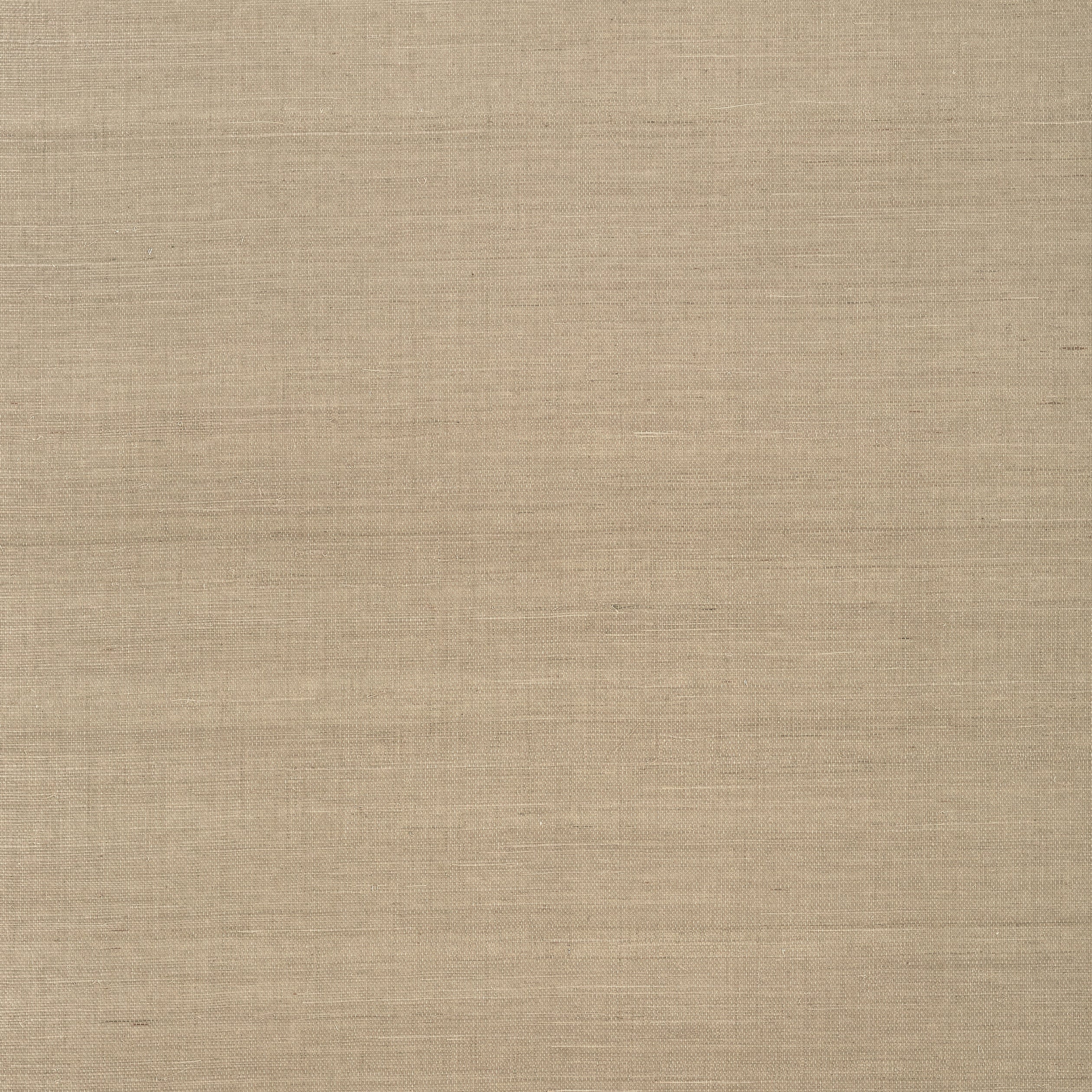 Shang Extra Fine Sisal fabric in linen color - pattern number T41160 - by Thibaut in the Grasscloth Resource Volume 6 collection