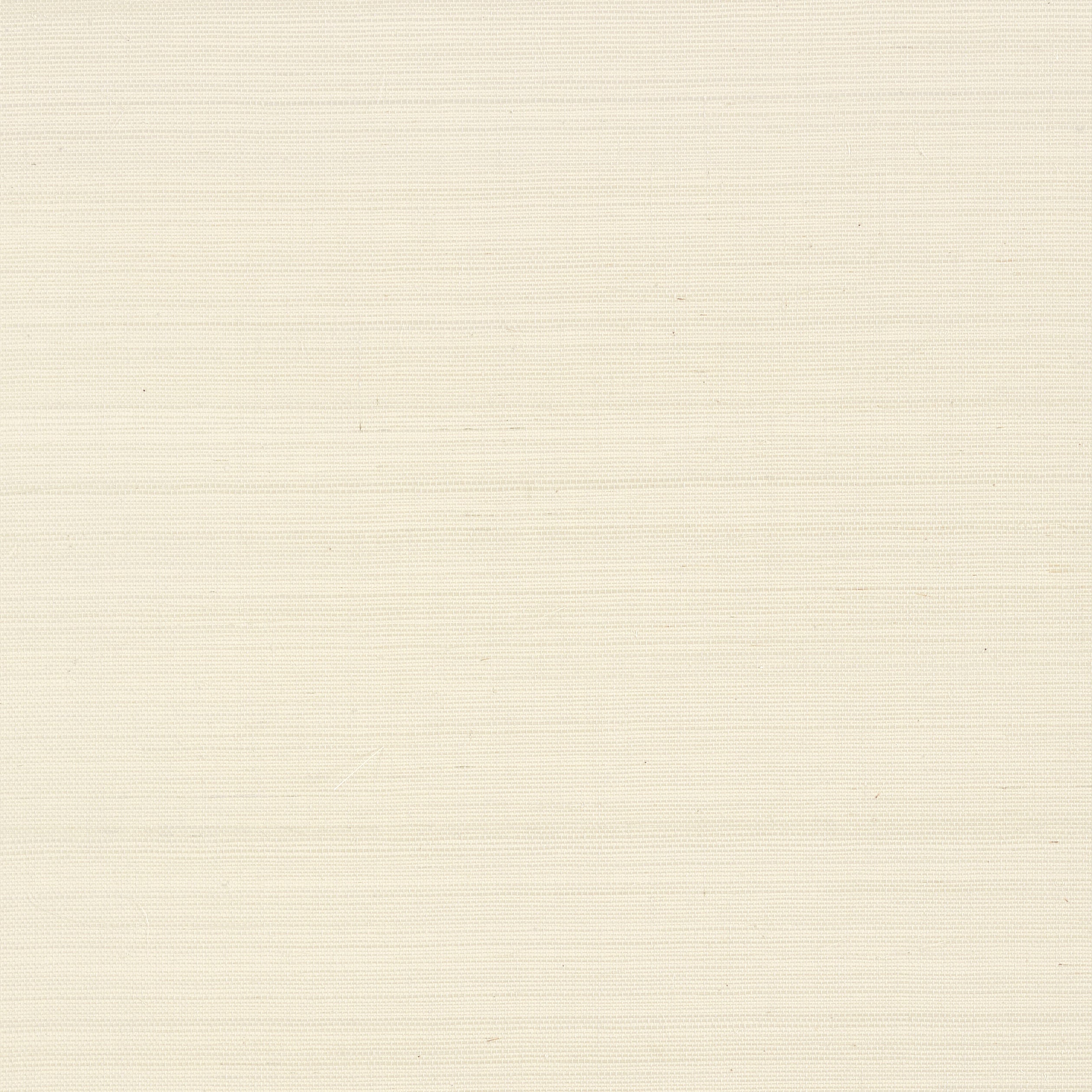 Shang Extra Fine Sisal fabric in light taupe color - pattern number T41161 - by Thibaut in the Grasscloth Resource Volume 6 collection