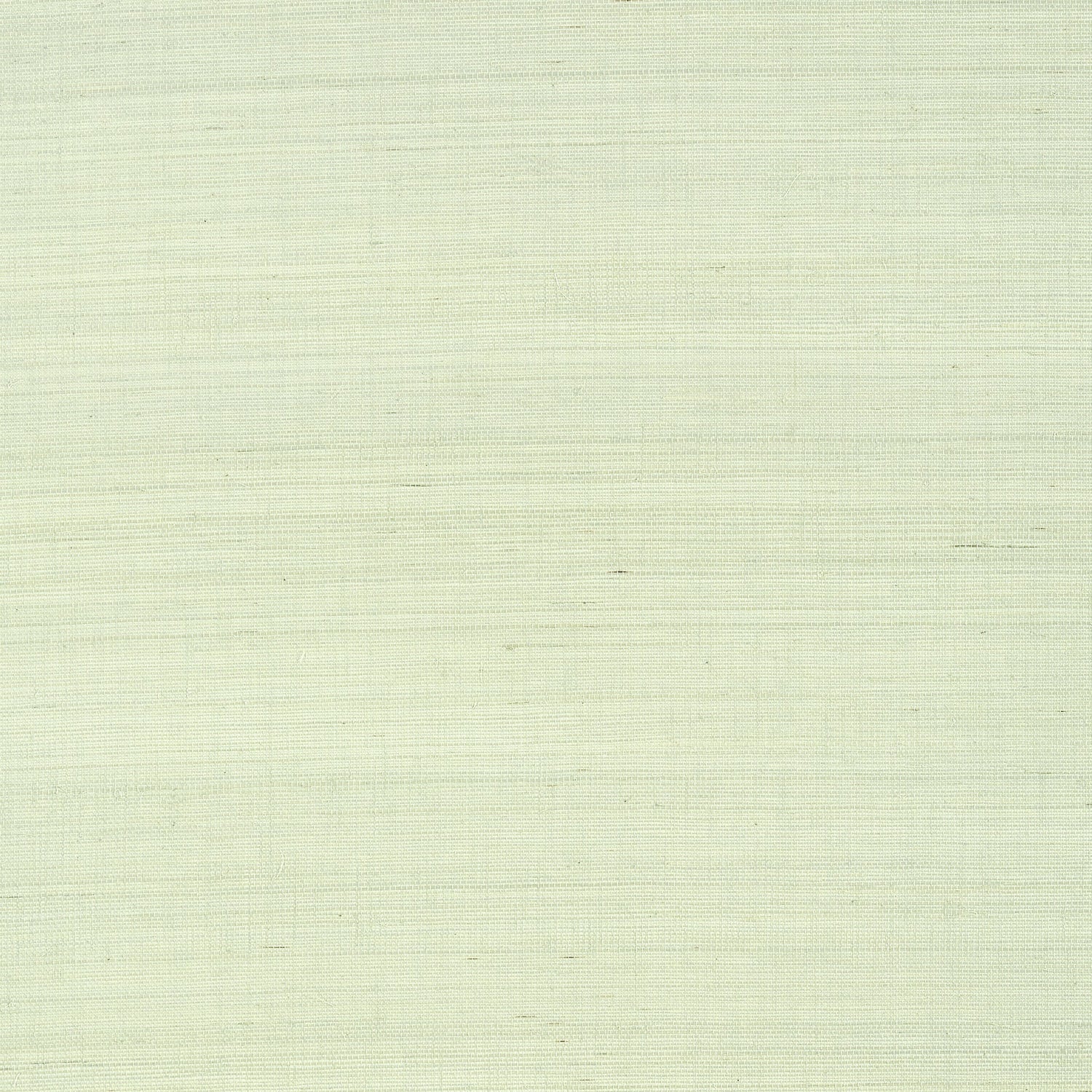 Shang Extra Fine Sisal fabric in green tea color - pattern number T41162 - by Thibaut in the Grasscloth Resource Volume 6 collection