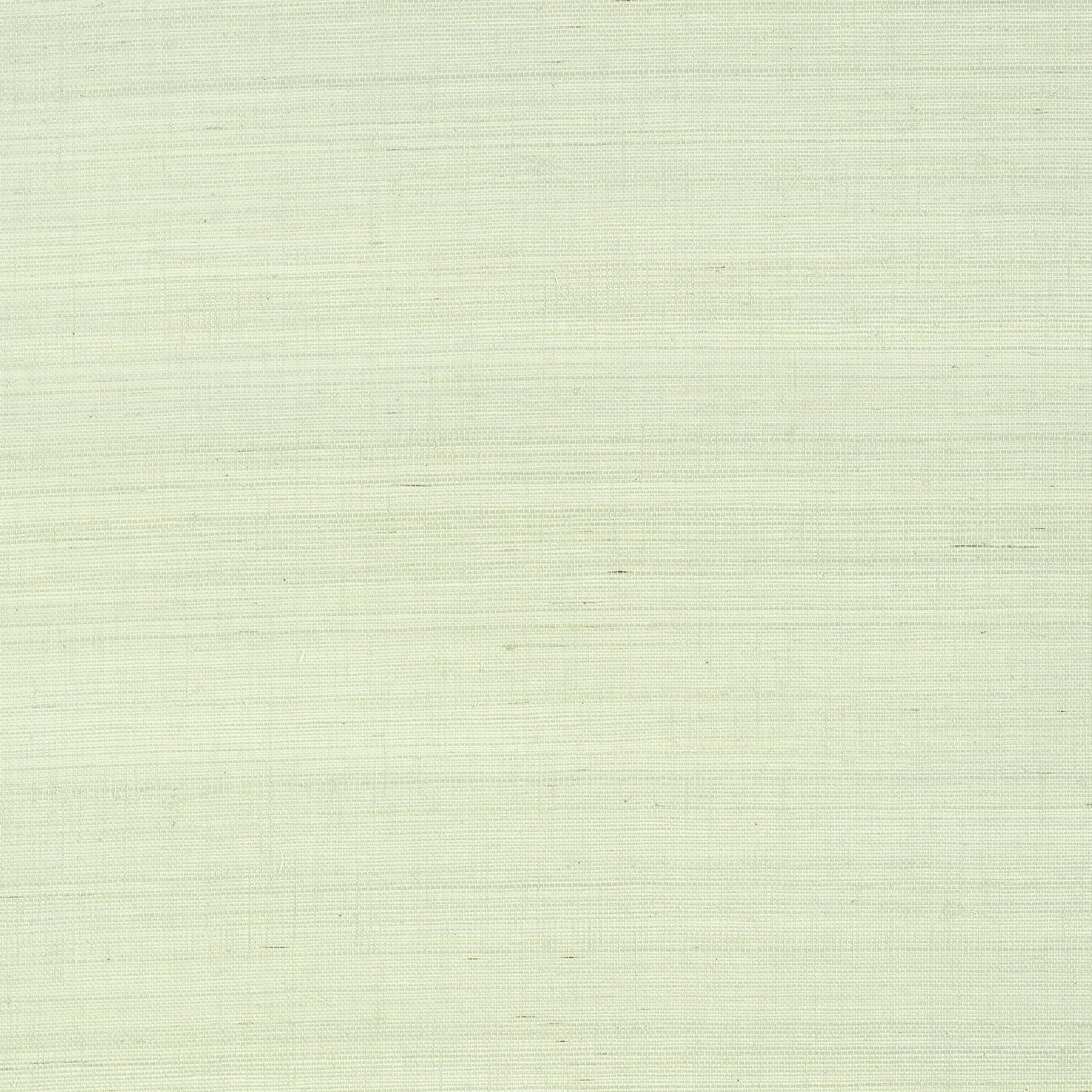 Shang Extra Fine Sisal fabric in green tea color - pattern number T41162 - by Thibaut in the Grasscloth Resource Volume 6 collection