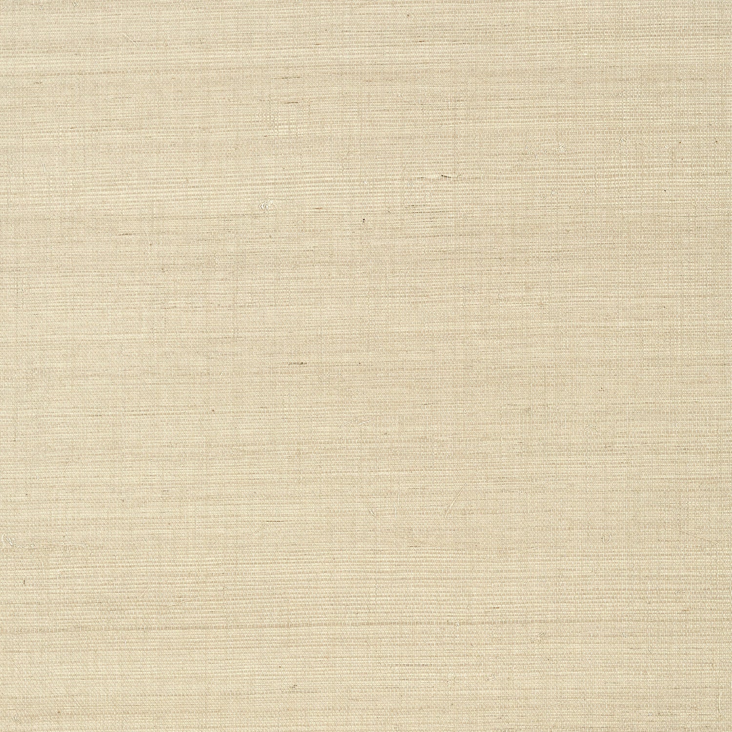 Shang Extra Fine Sisal fabric in flax color - pattern number T41163 - by Thibaut in the Grasscloth Resource Volume 6 collection