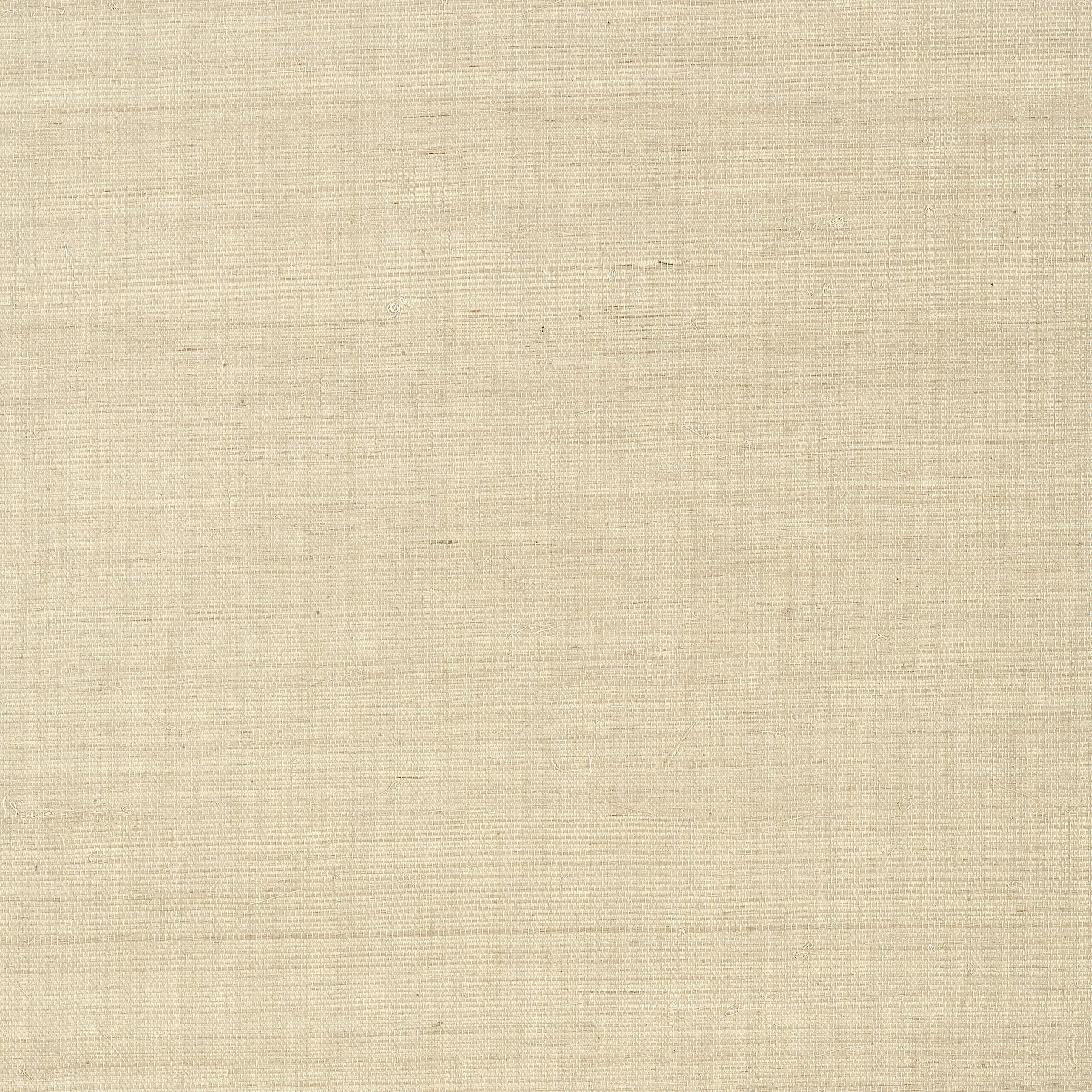 Shang Extra Fine Sisal fabric in flax color - pattern number T41163 - by Thibaut in the Grasscloth Resource Volume 6 collection