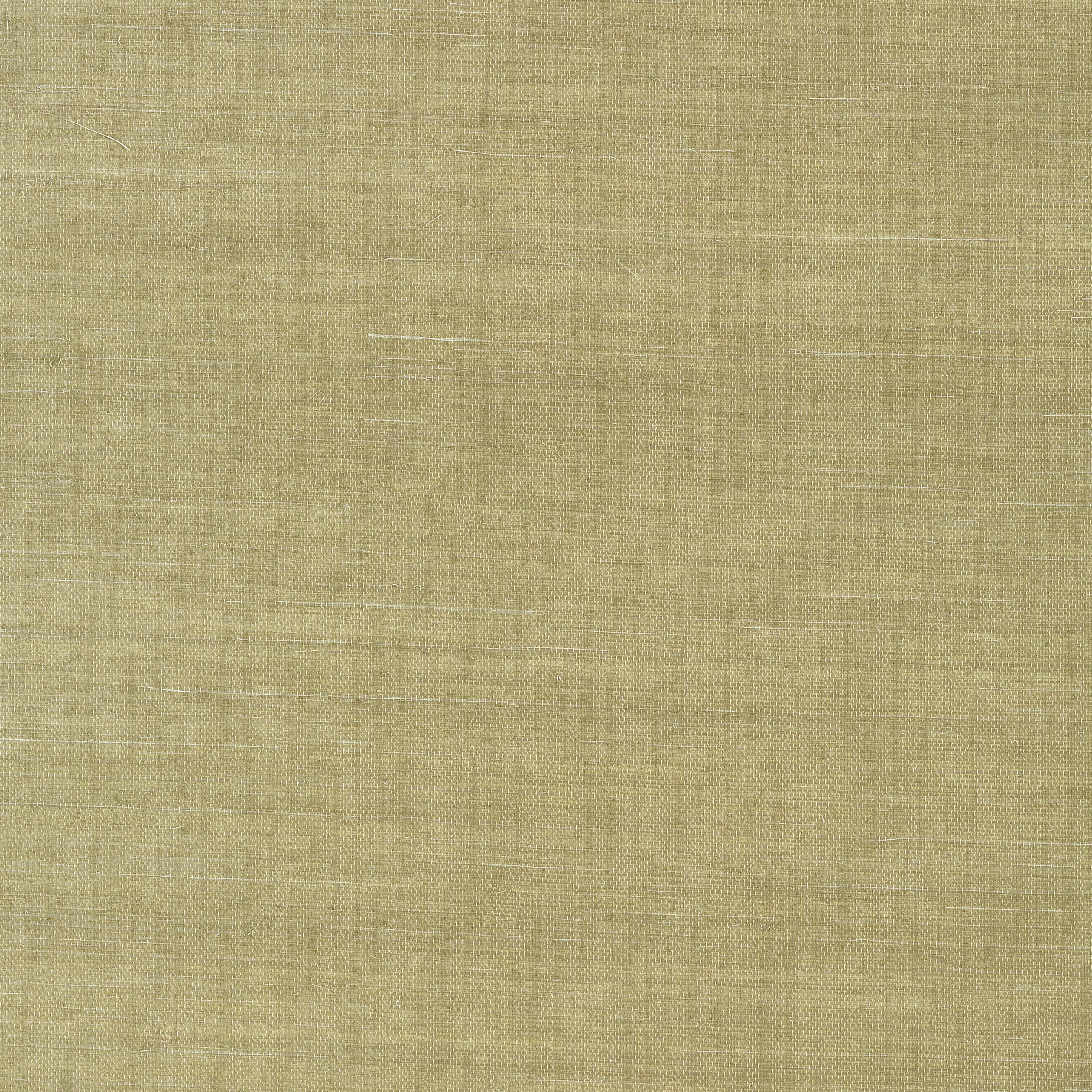 Shang Extra Fine Sisal wallpaper in moss color - pattern number T41166 - by Thibaut in the Grasscloth Resource Volume 4 collection