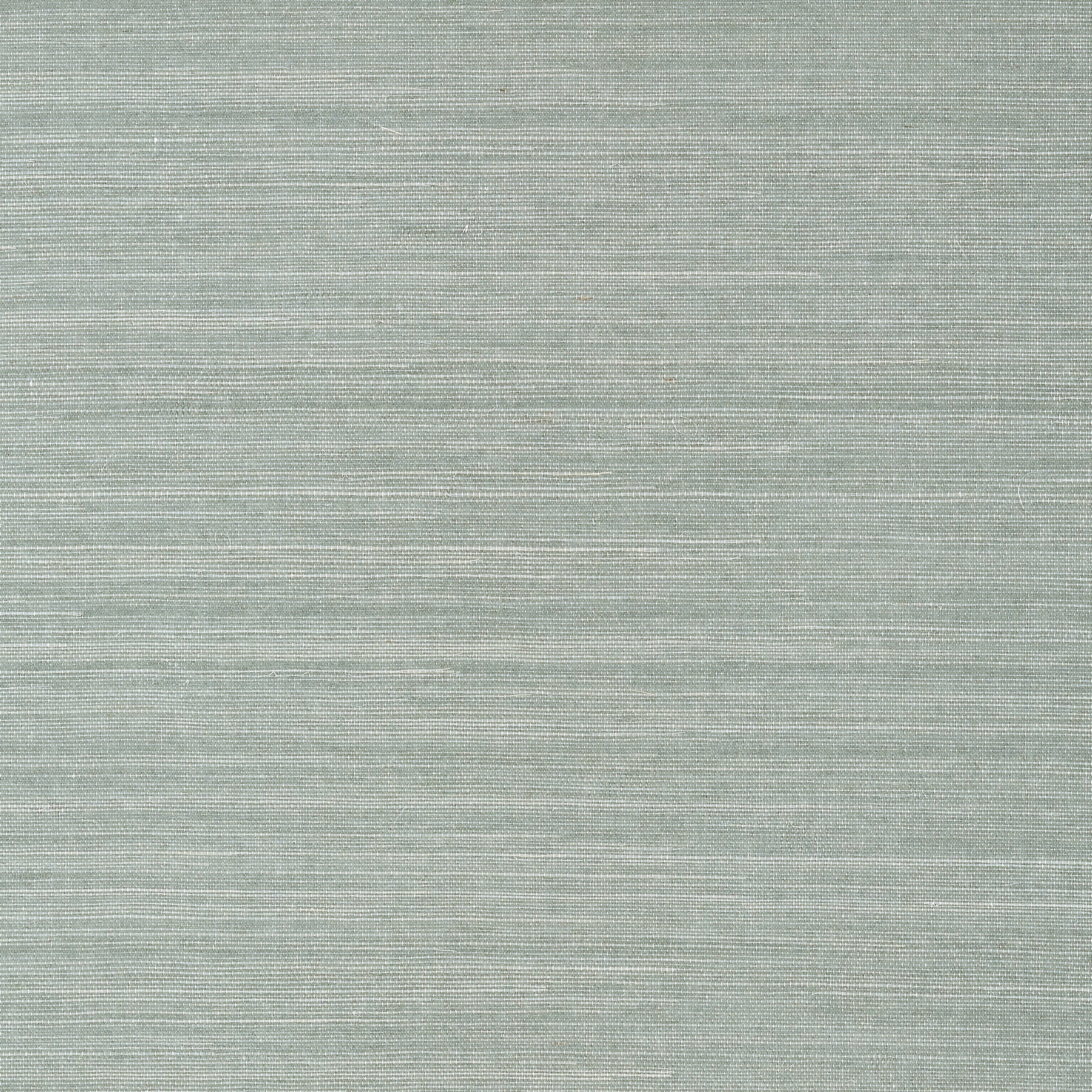 Shang Extra Fine Sisal fabric in mineral color - pattern number T41168 - by Thibaut in the Grasscloth Resource Volume 6 collection