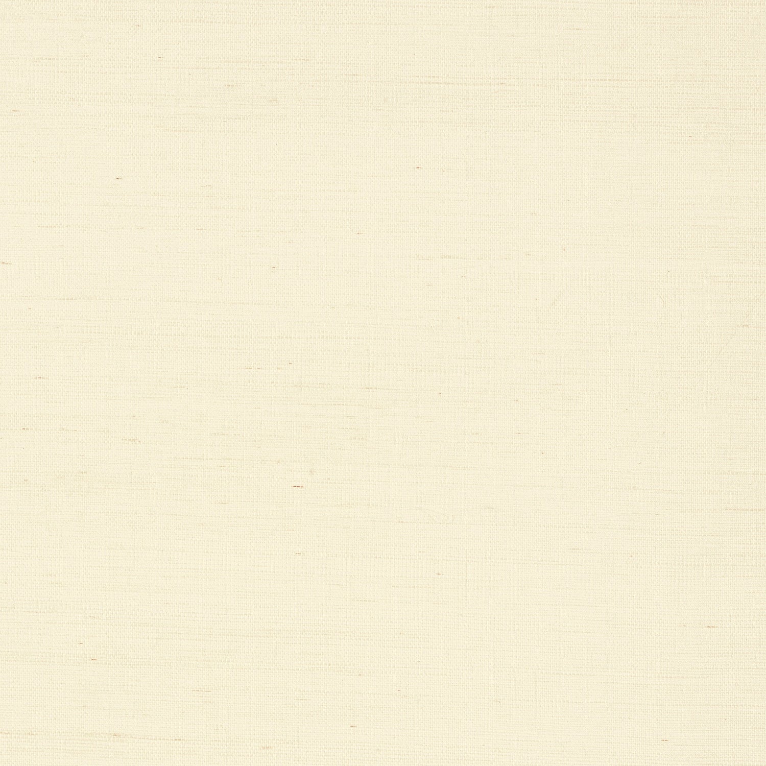 Shang Extra Fine Sisal fabric in blonde color - pattern number T41170 - by Thibaut in the Grasscloth Resource Volume 6 collection