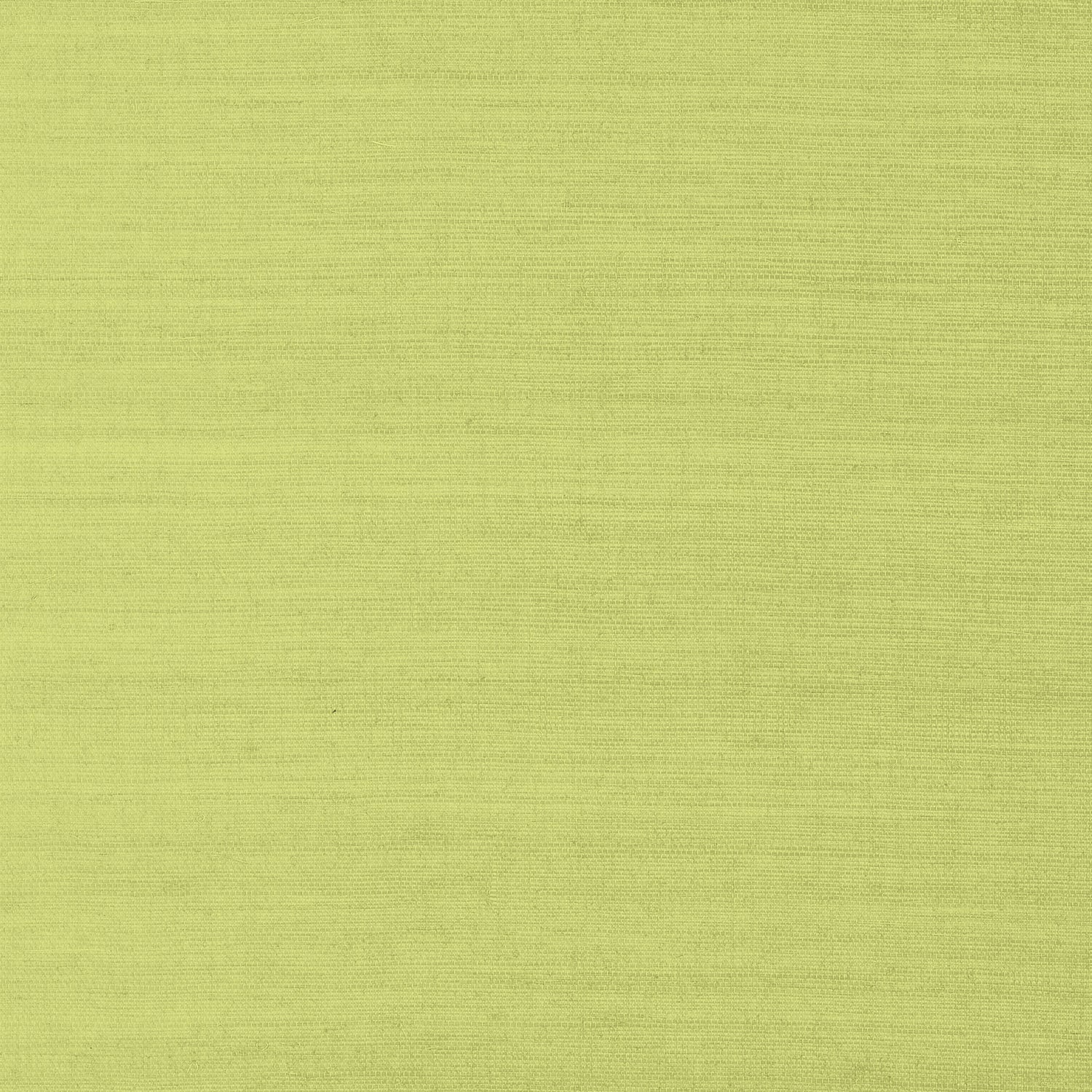 Shang Extra Fine Sisal fabric in green color - pattern number T41181 - by Thibaut in the Grasscloth Resource Volume 6 collection