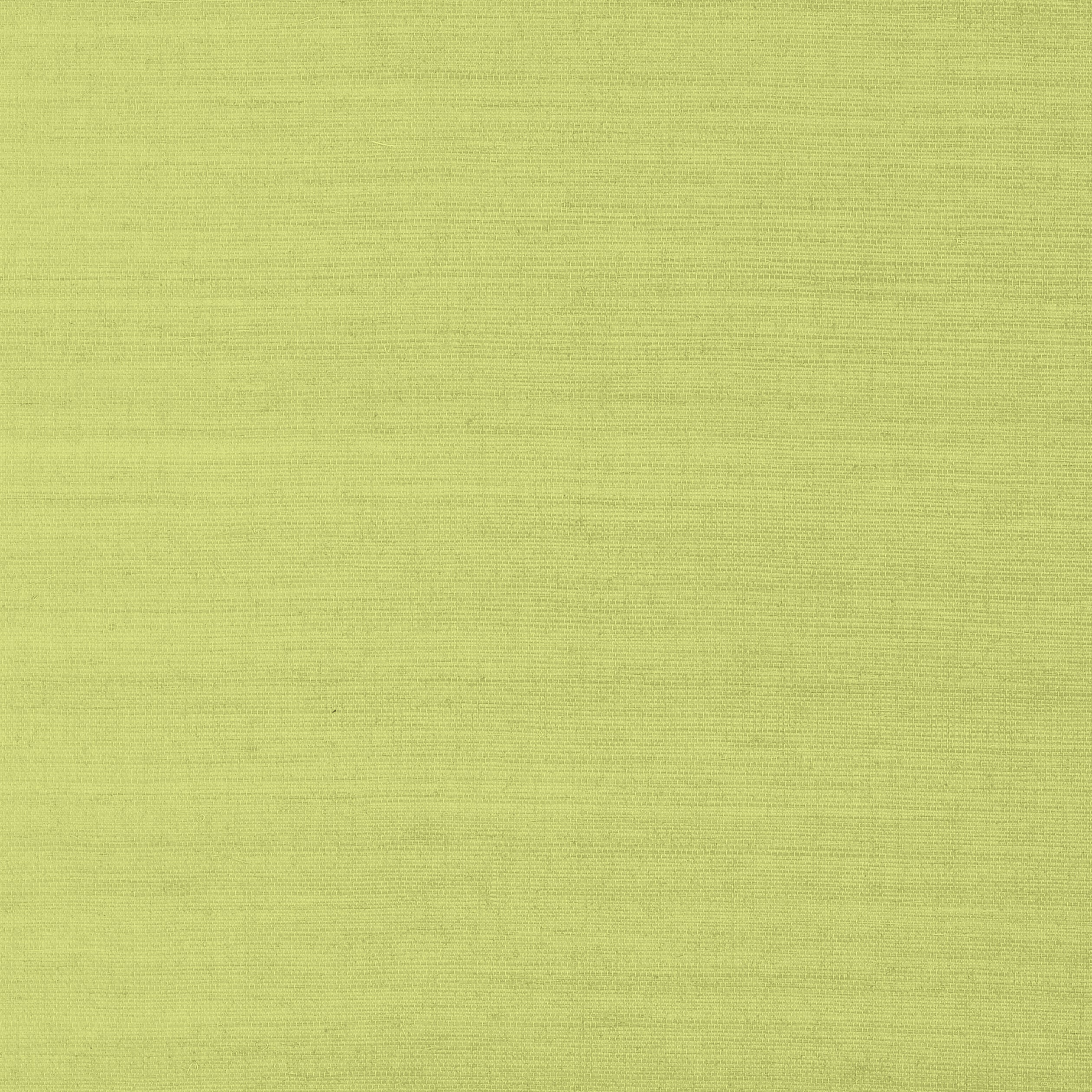Shang Extra Fine Sisal fabric in green color - pattern number T41181 - by Thibaut in the Grasscloth Resource Volume 6 collection