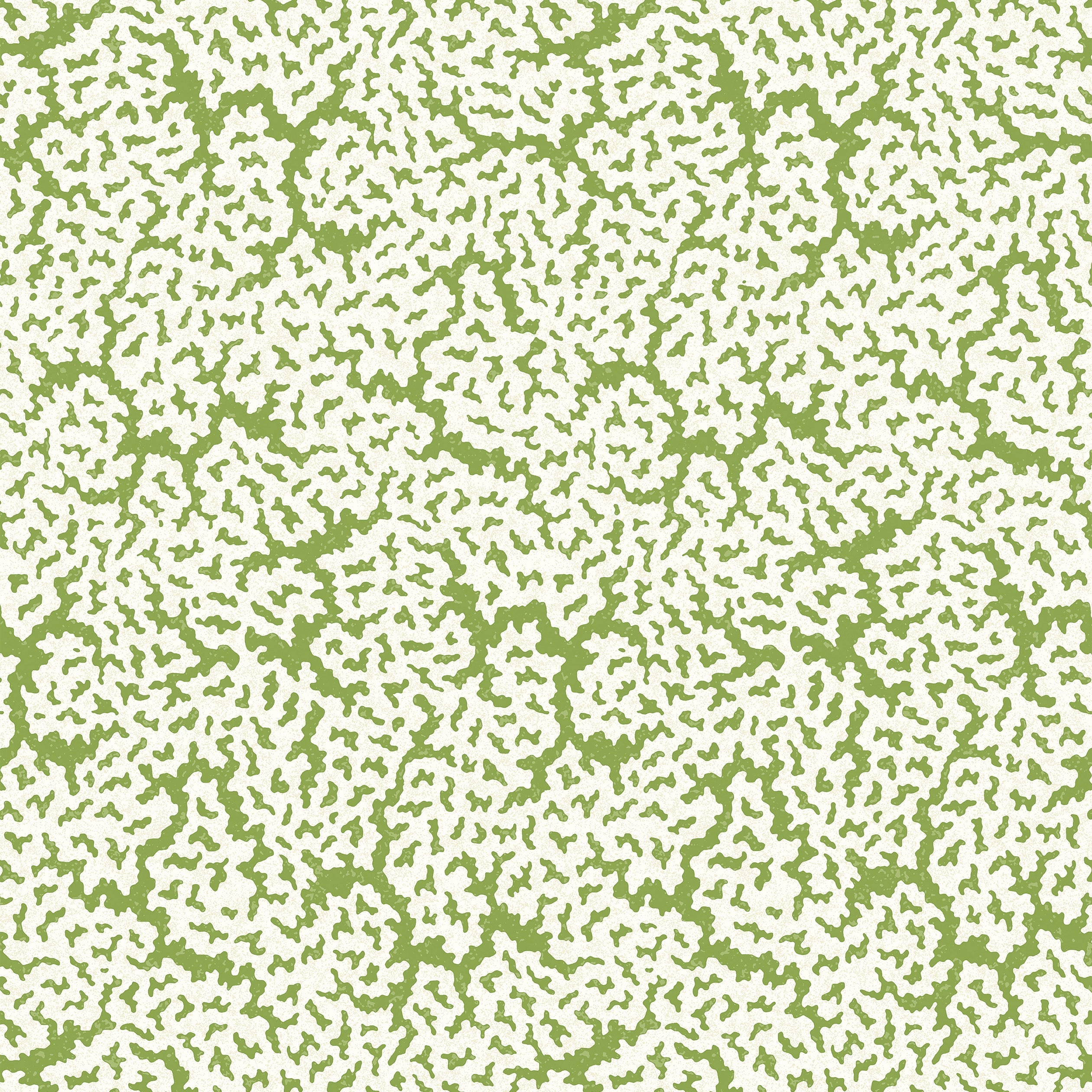 Maldives wallpaper in green color - pattern number T42041 - by Thibaut in the Sojourn collection