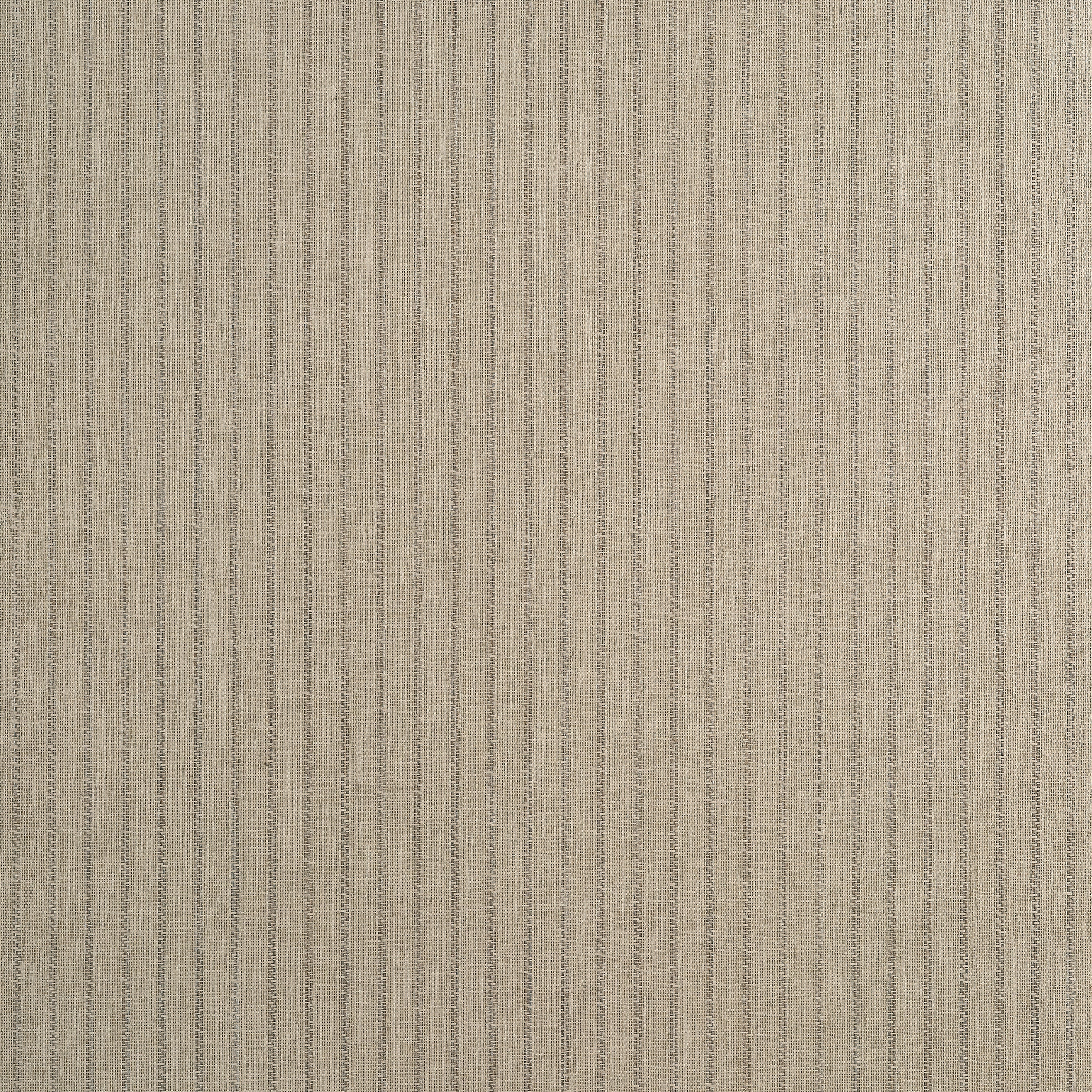 Ryker Stripe wallpaper in grey color - pattern number T44061 - by Thibaut in the Stripes and Checks Resource collection