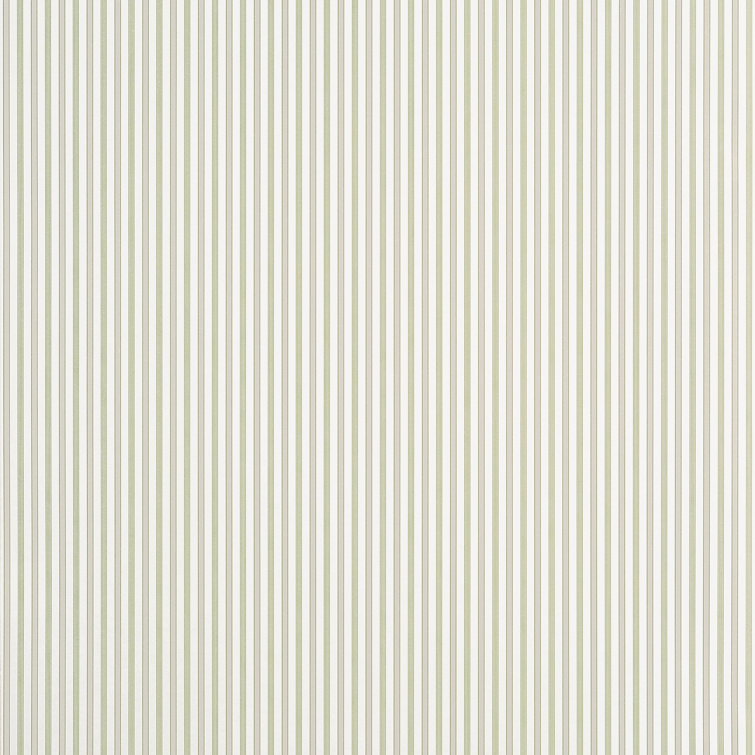 Conner Stripe wallpaper in green and beige color - pattern number T44066 - by Thibaut in the Stripes and Checks Resource collection