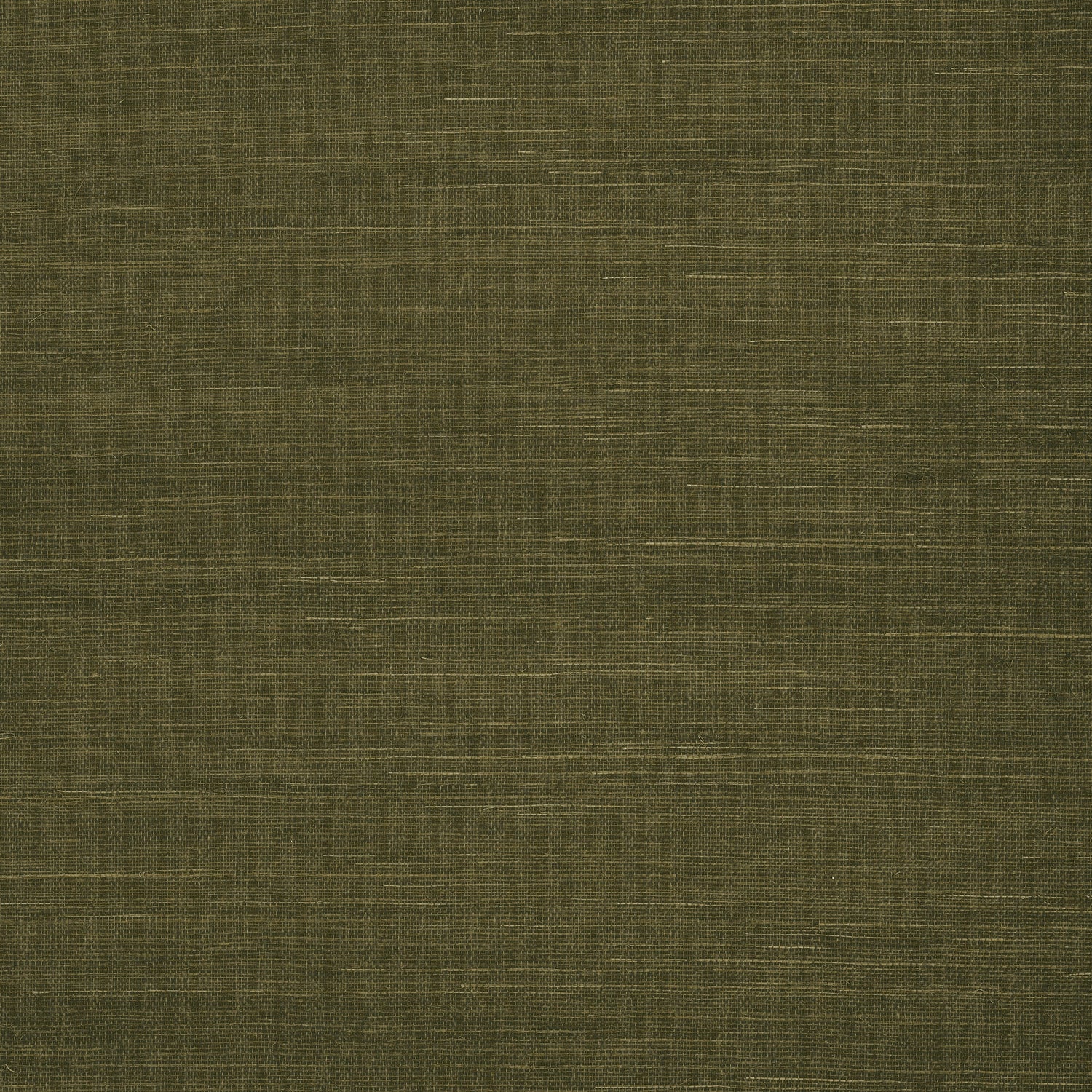 Shang Extra Fine Sisal fabric in avocado color - pattern number T5027 - by Thibaut in the Grasscloth Resource Volume 6 collection