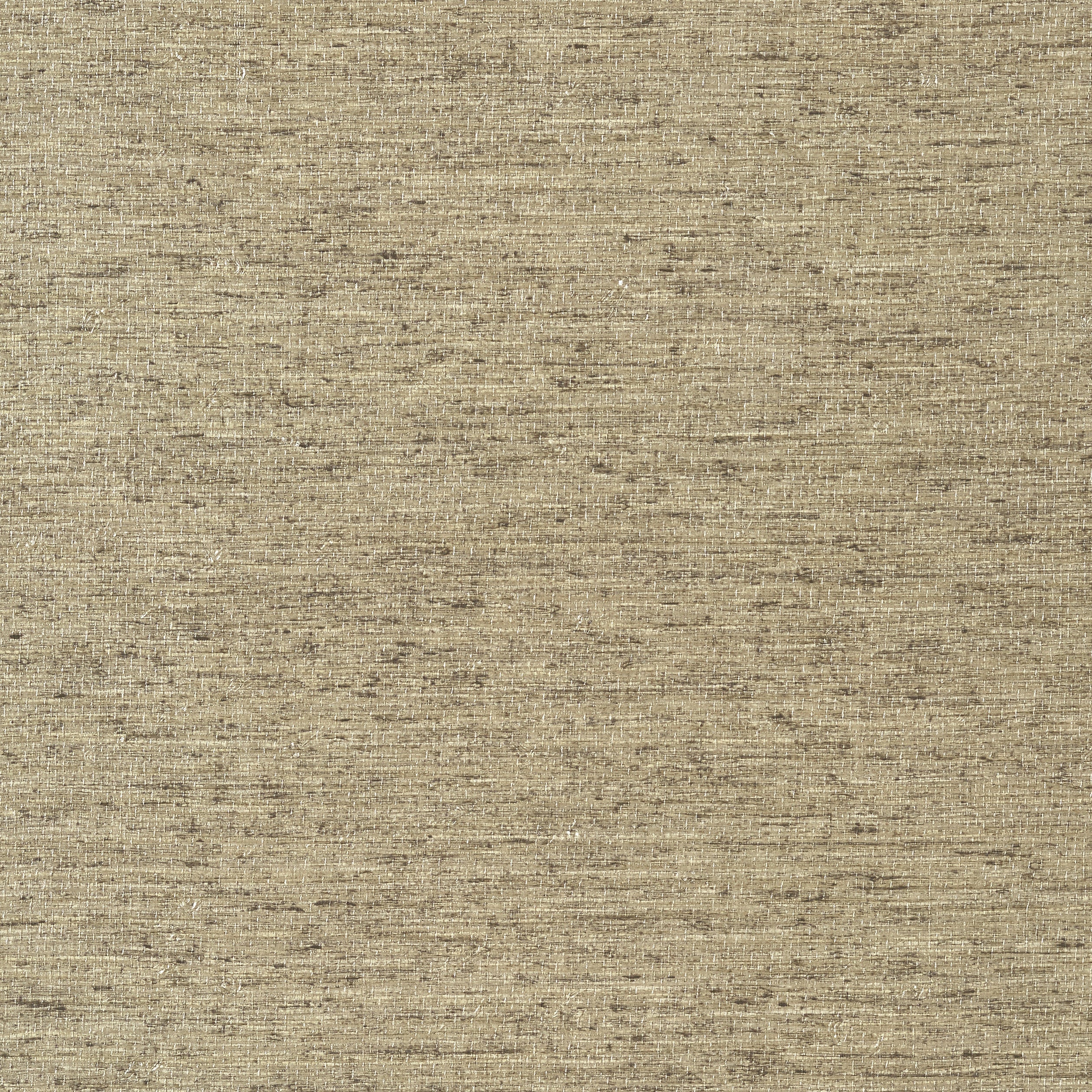 Arrowroot wallpaper in mocha color - pattern number T57181 - by Thibaut in the Texture Resource Volume 5 collection