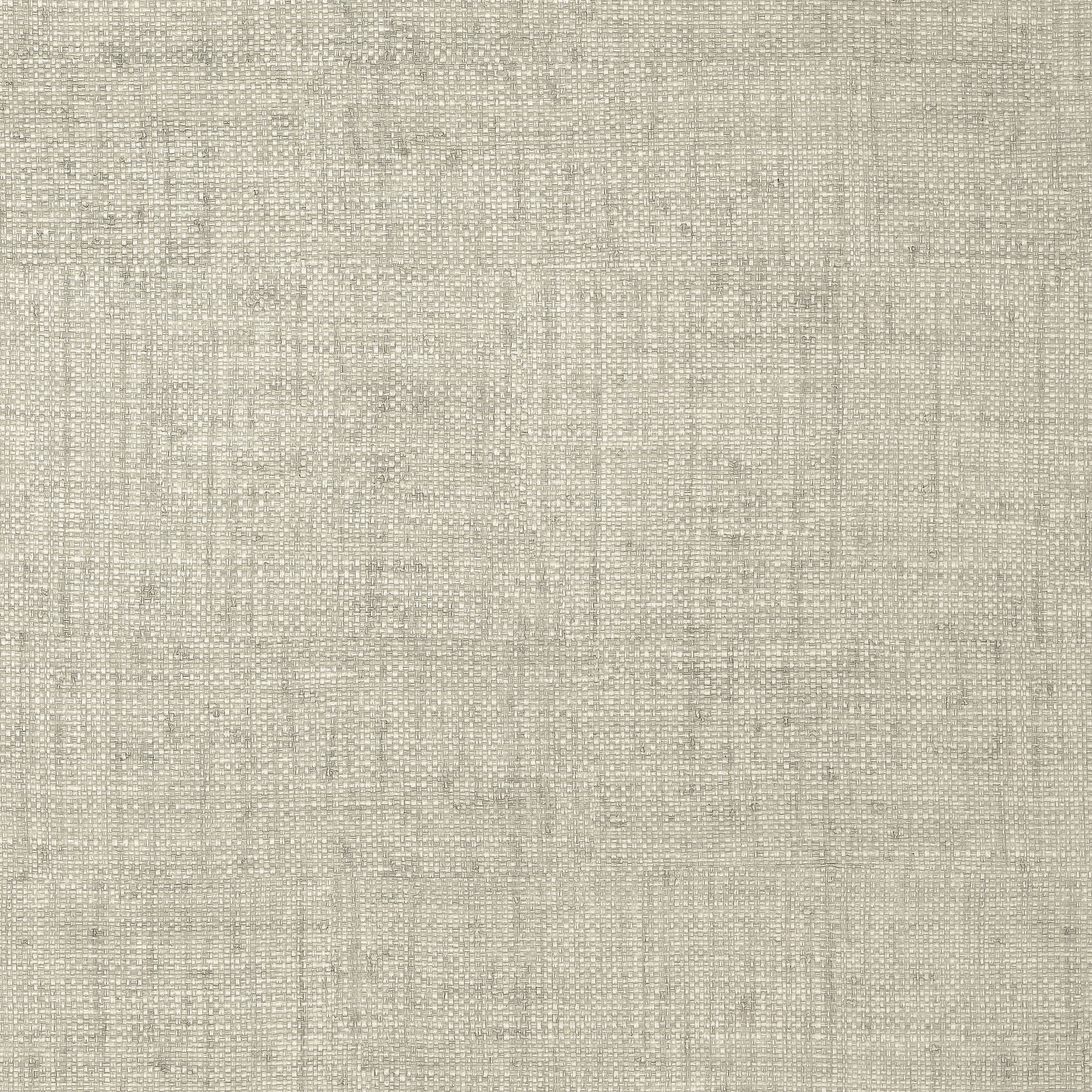 Bankun Raffia wallpaper in grey color - pattern number T6815 - by Thibaut in the Texture Resource Volume 8 collection