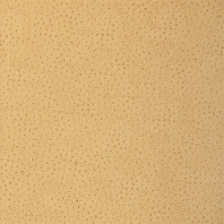 Natural Ostrich fabric in harvest color - pattern number T6829 - by Thibaut in the Texture Resource Volume 3 collection