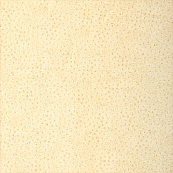 Natural Ostrich fabric in cream color - pattern number T6830 - by Thibaut in the Texture Resource Volume 3 collection