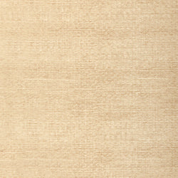 Banyan Basket fabric in taupe color - pattern number T6844 - by Thibaut in the Texture Resource Volume 3 collection