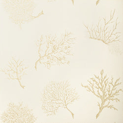 Coral Gables fabric in pearl color - pattern number T6855 - by Thibaut in the Texture Resource Volume 3 collection