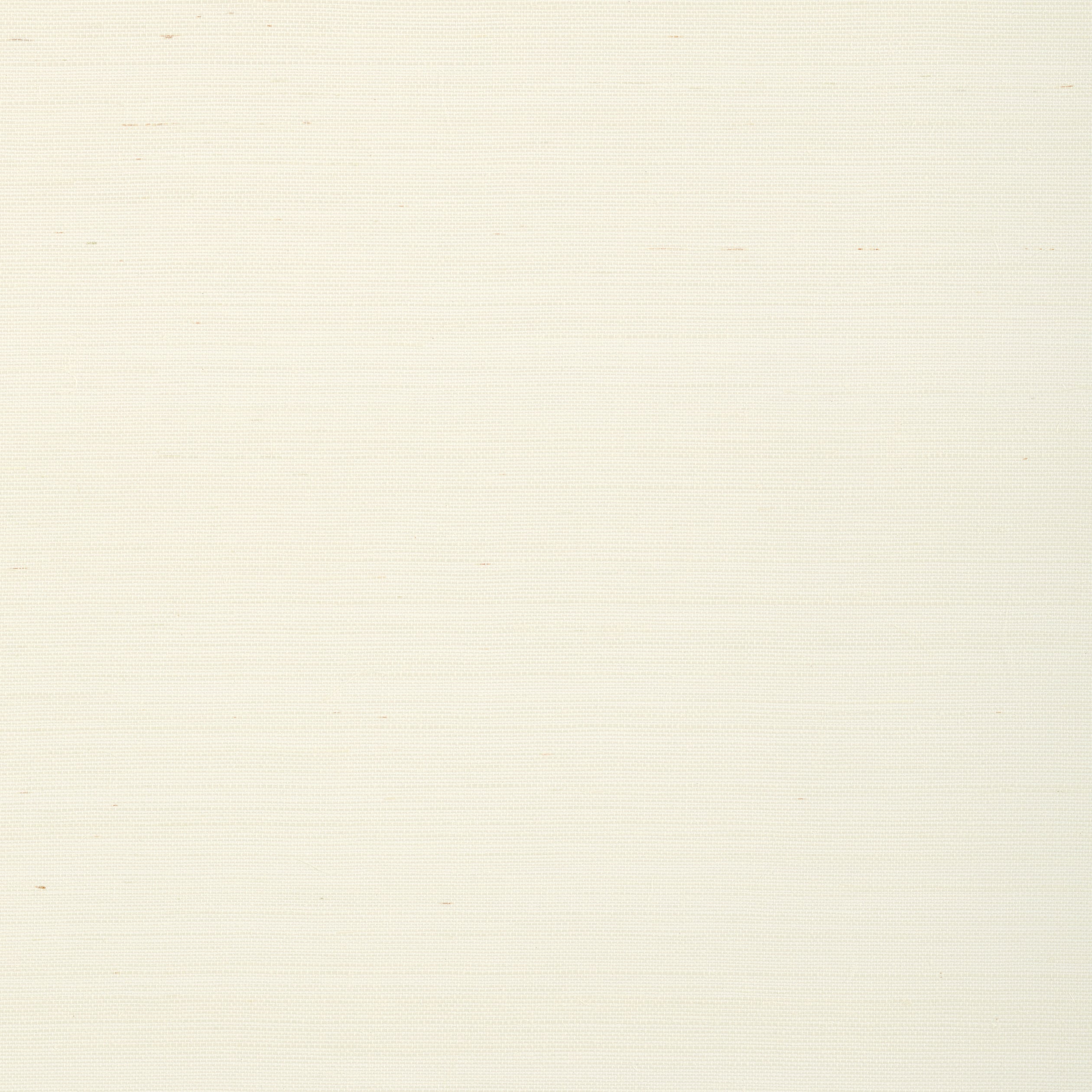 Shang Extra Fine Sisal fabric in white color - pattern number T72831 - by Thibaut in the Grasscloth Resource Volume 6 collection