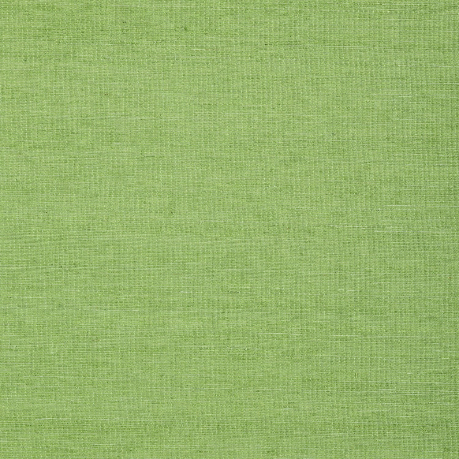 Shang Extra Fine Sisal fabric in kelly green color - pattern number T72832 - by Thibaut in the Grasscloth Resource Volume 6 collection