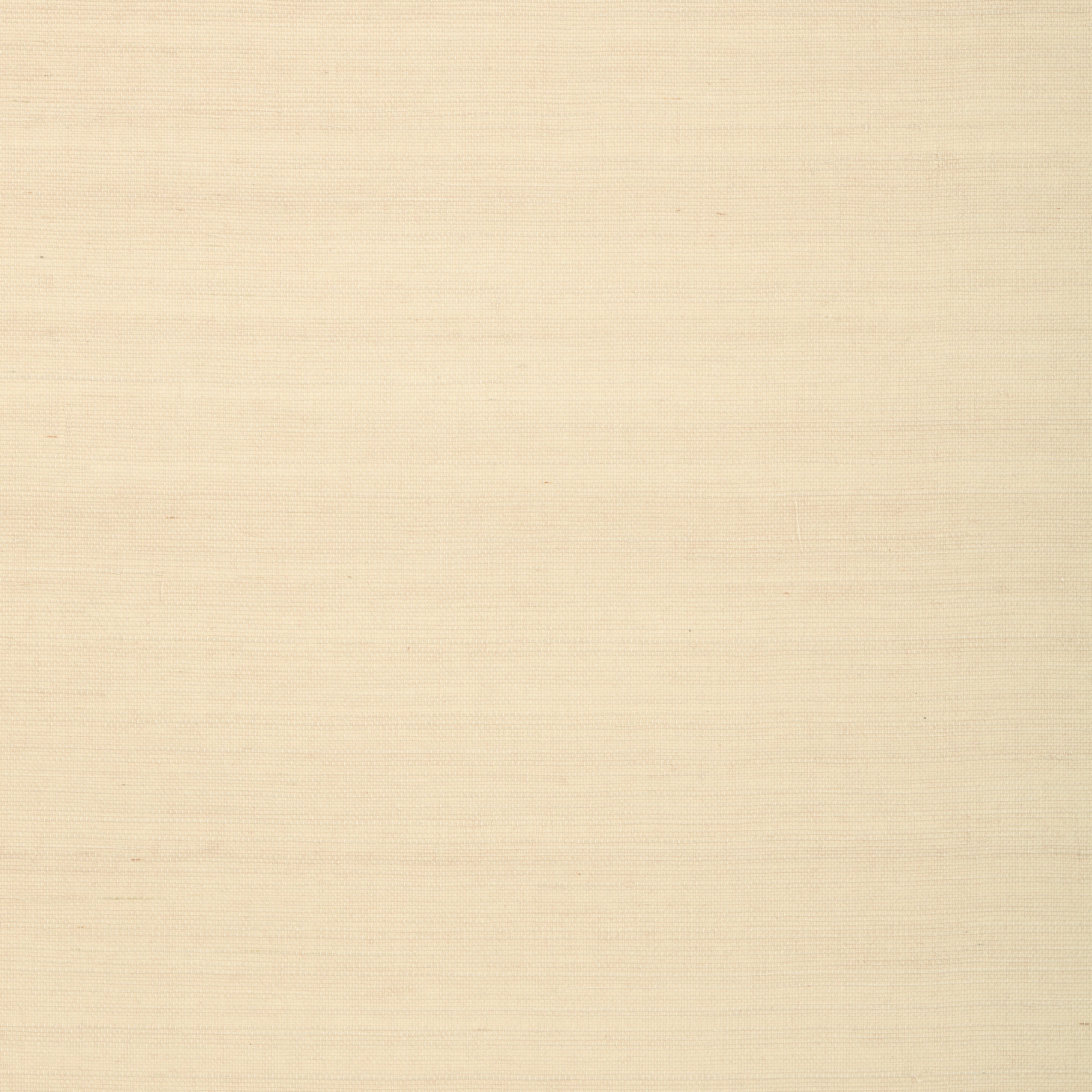 Shang Extra Fine Sisal wallpaper in sand color - pattern number T72837 - by Thibaut in the Grasscloth Resource Volume 4 collection