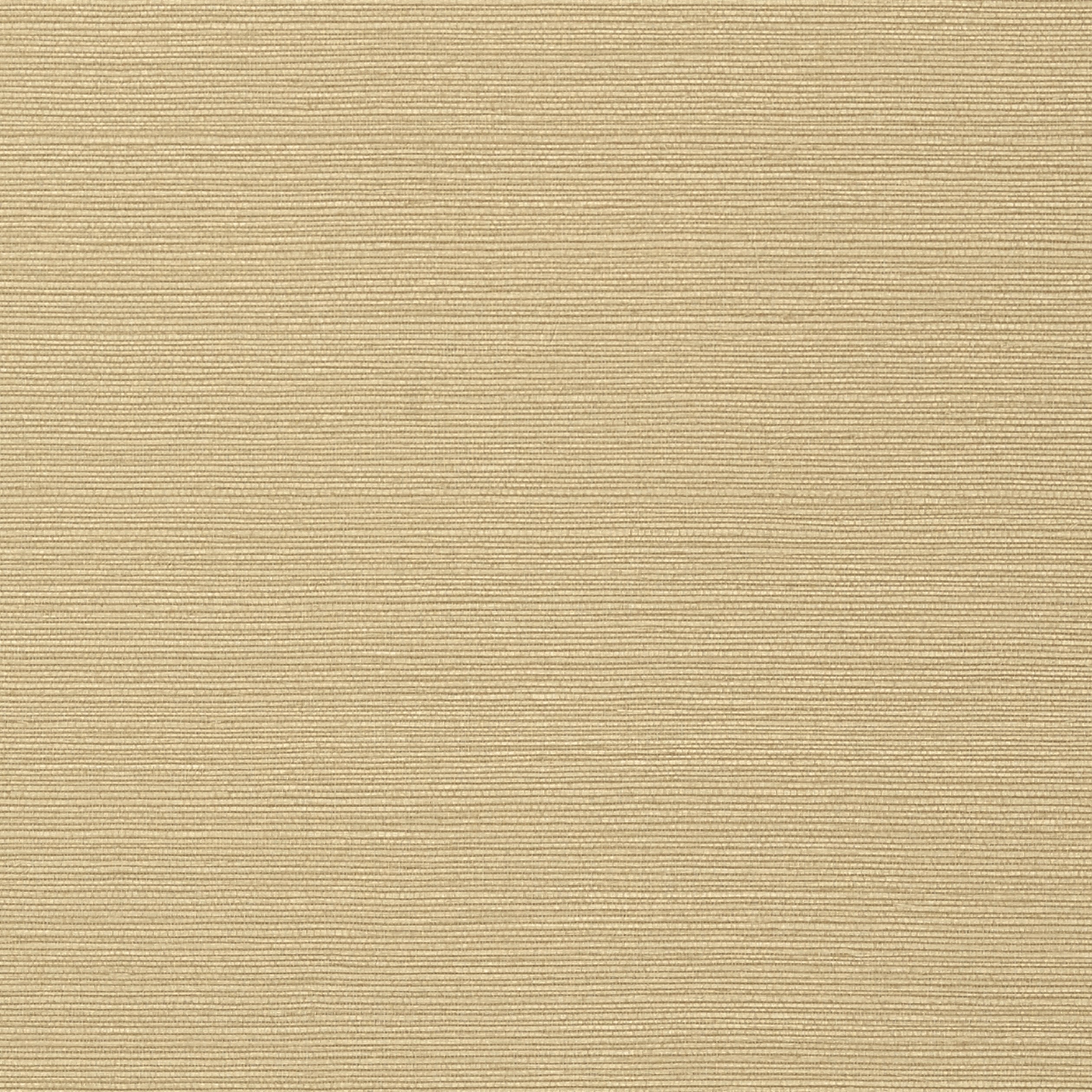 Taluk Sisal wallpaper in sand color - pattern number T75148 - by Thibaut in the Texture Resource Volume 9 collection
