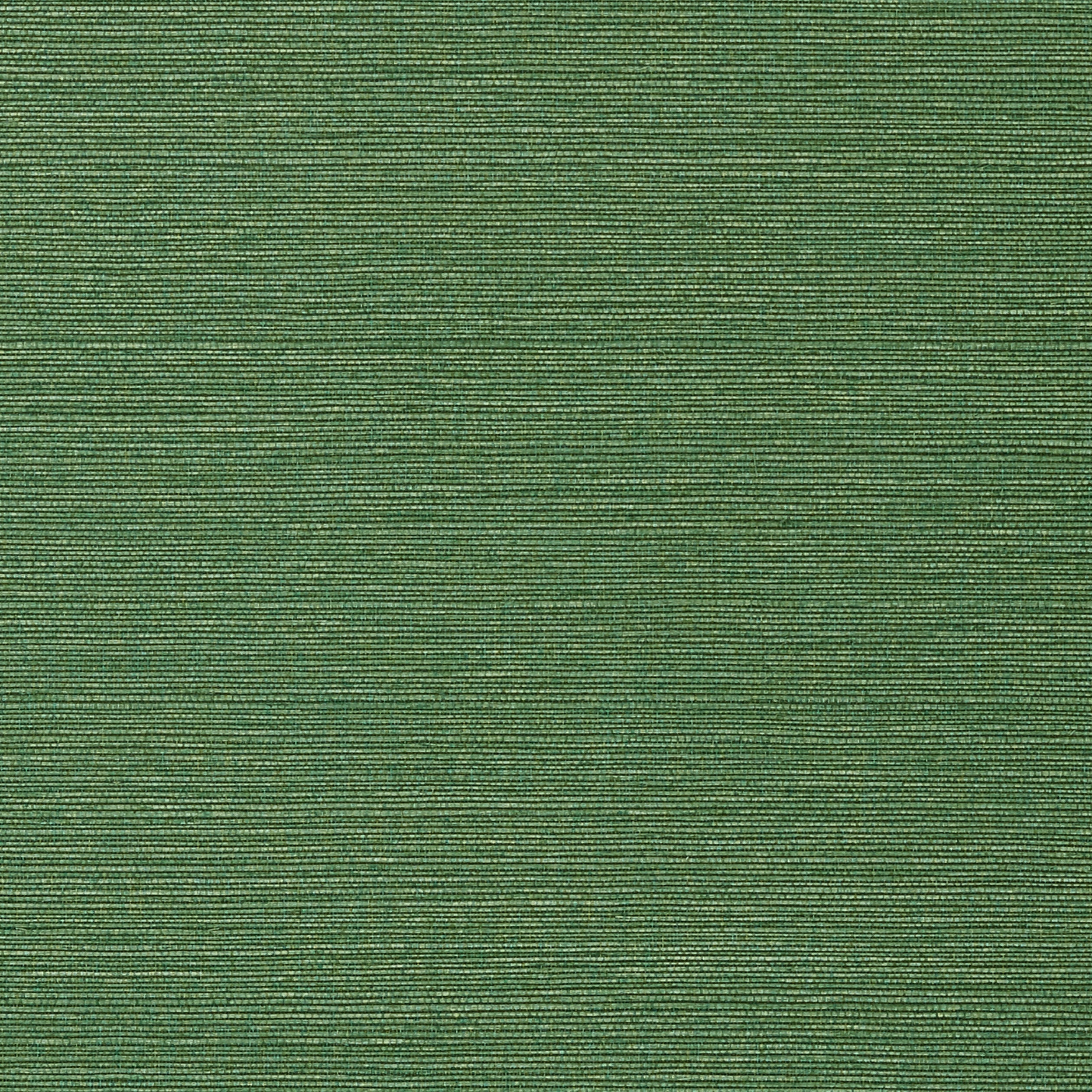 Taluk Sisal wallpaper in green color - pattern number T75154 - by Thibaut in the Texture Resource Volume 9 collection