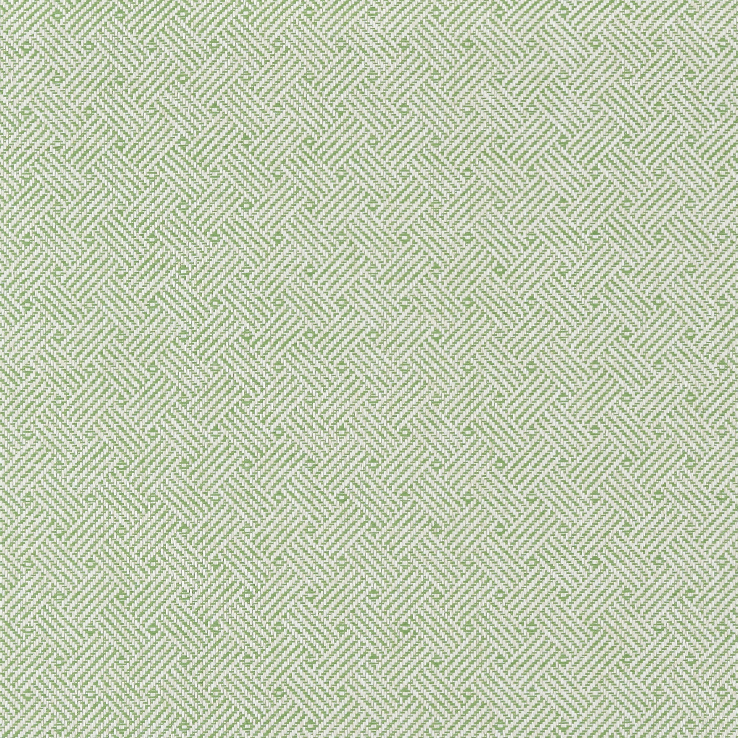 Lattice Weave fabric in green color - pattern number T75479 - by Thibaut in the Dynasty collection