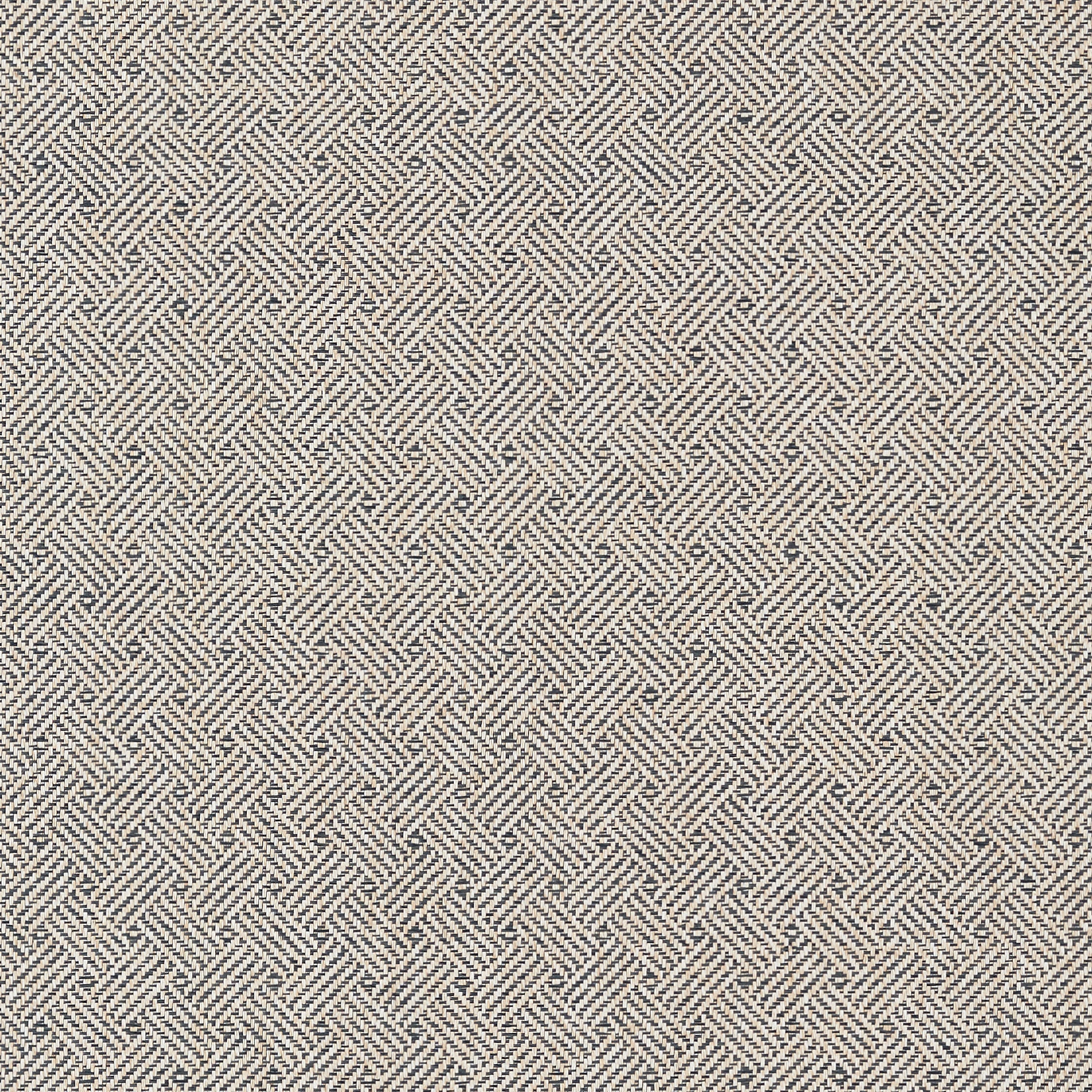 Lattice Weave fabric in black color - pattern number T75480 - by Thibaut in the Dynasty collection