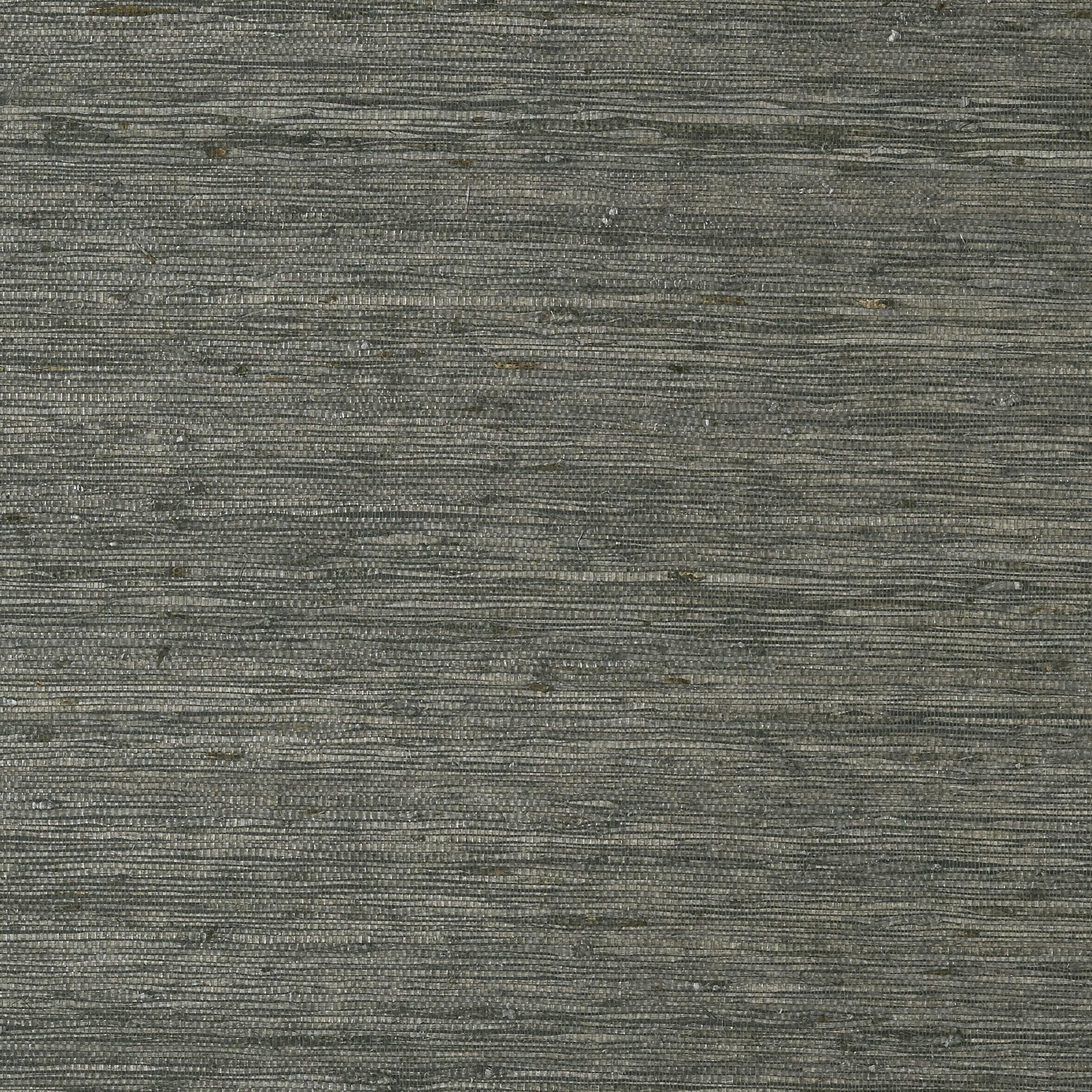 Maranta Arrowroot wallpaper in black color - pattern number T85009 - by Thibaut in the Grasscloth Resource Volume 4 collection