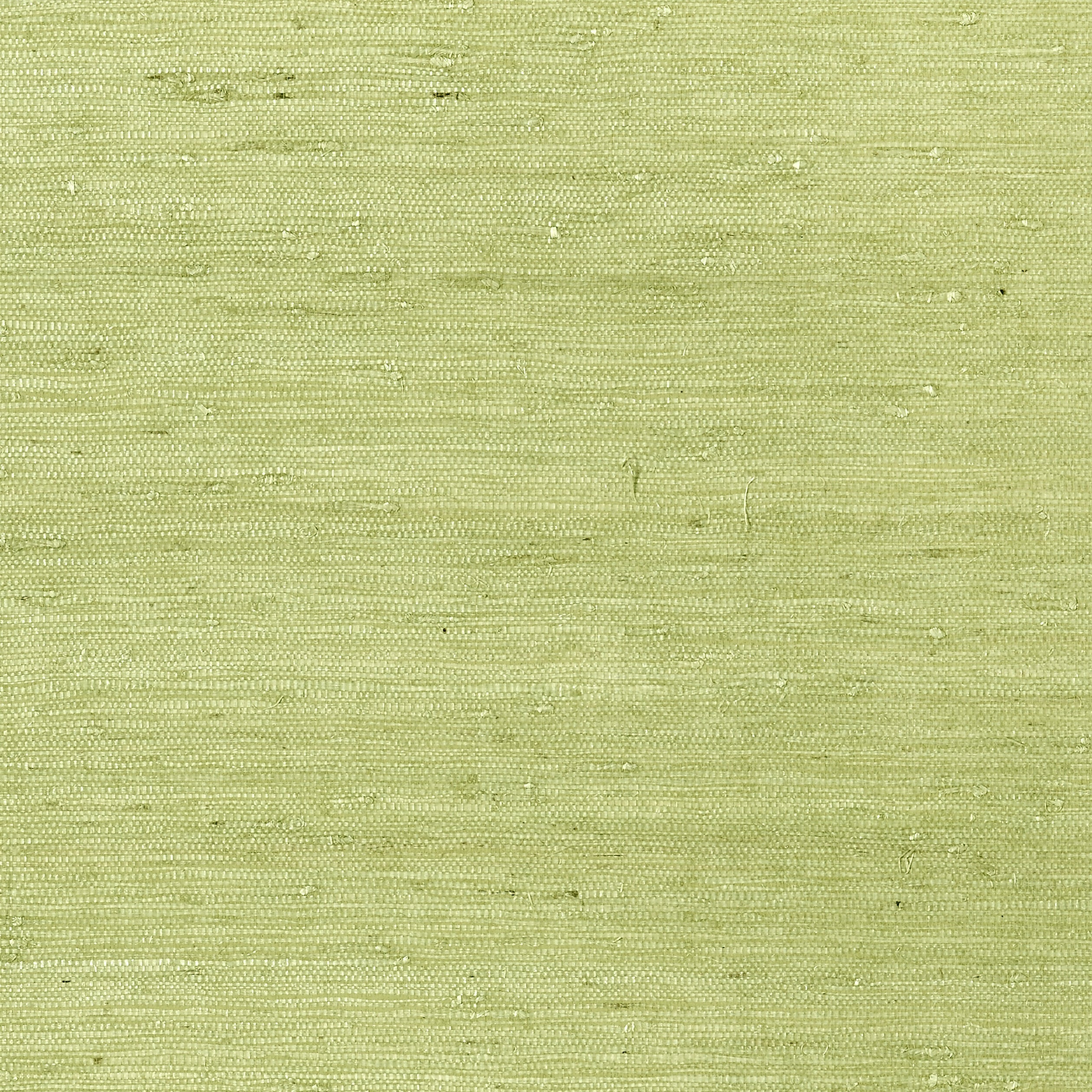 Maranta Arrowroot wallpaper in green color - pattern number T85012 - by Thibaut in the Grasscloth Resource Volume 4 collection