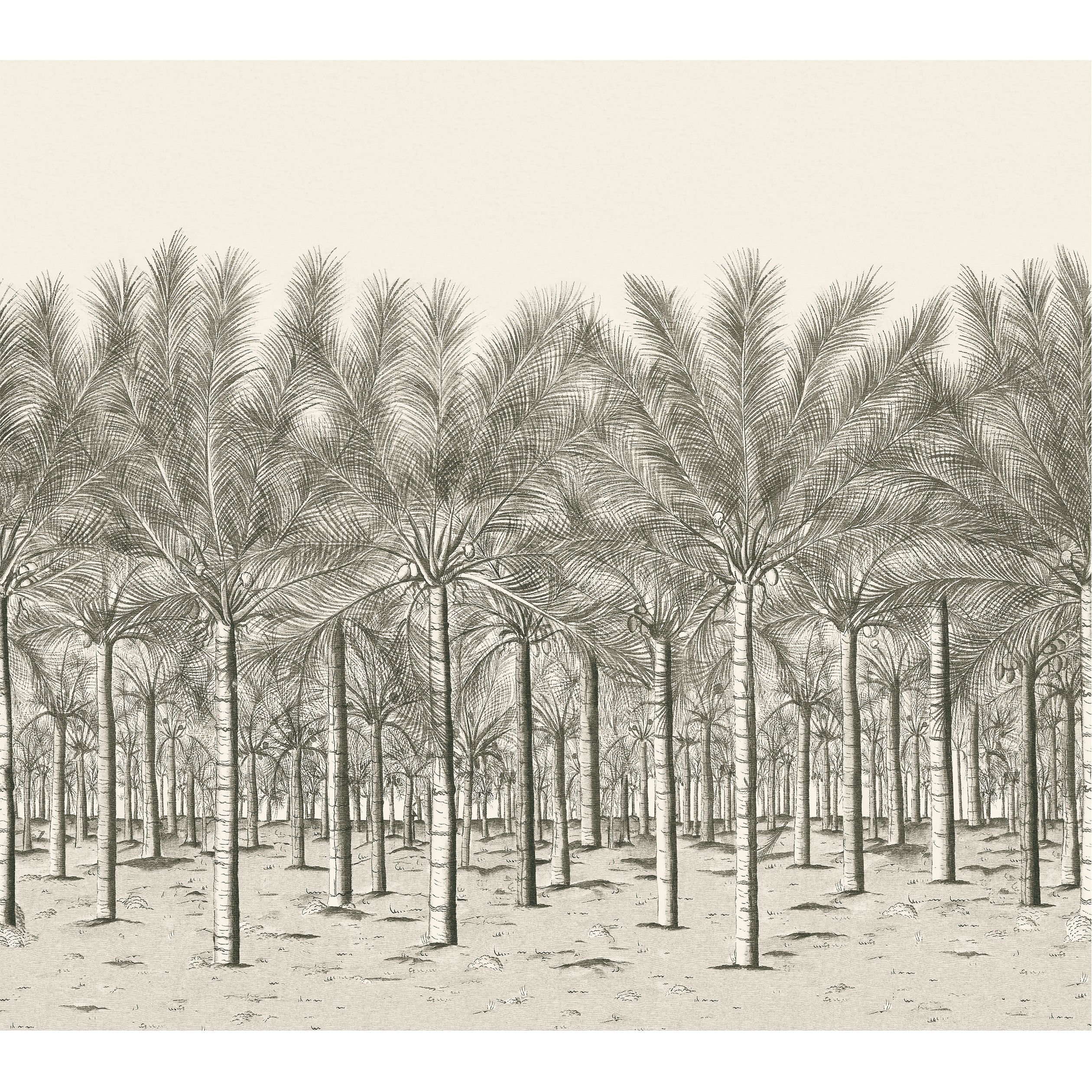 Palm Grove mural in black tea color - pattern number TM13950 - by Thibaut in the Palm Grove collection
