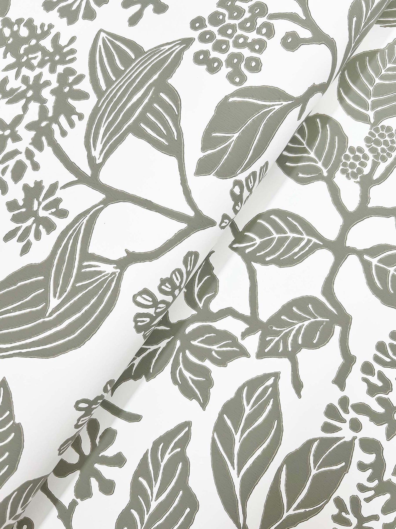 Rowen wallpaper in olive color - pattern number VP1343 - by Antonina Vella in the Jardin collection