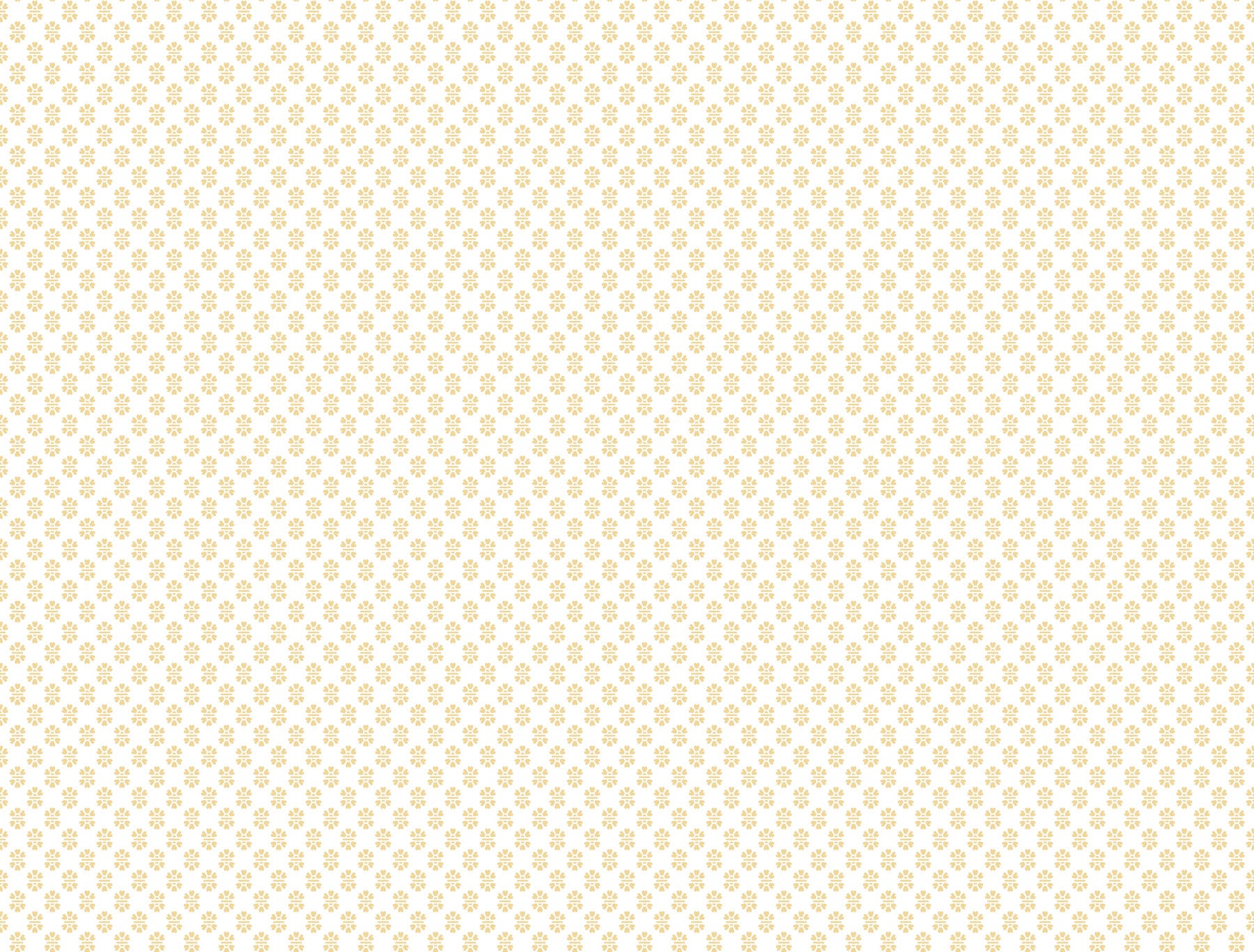 Brioni wallpaper in butter color - pattern number VP1392 - by Antonina Vella in the Jardin collection