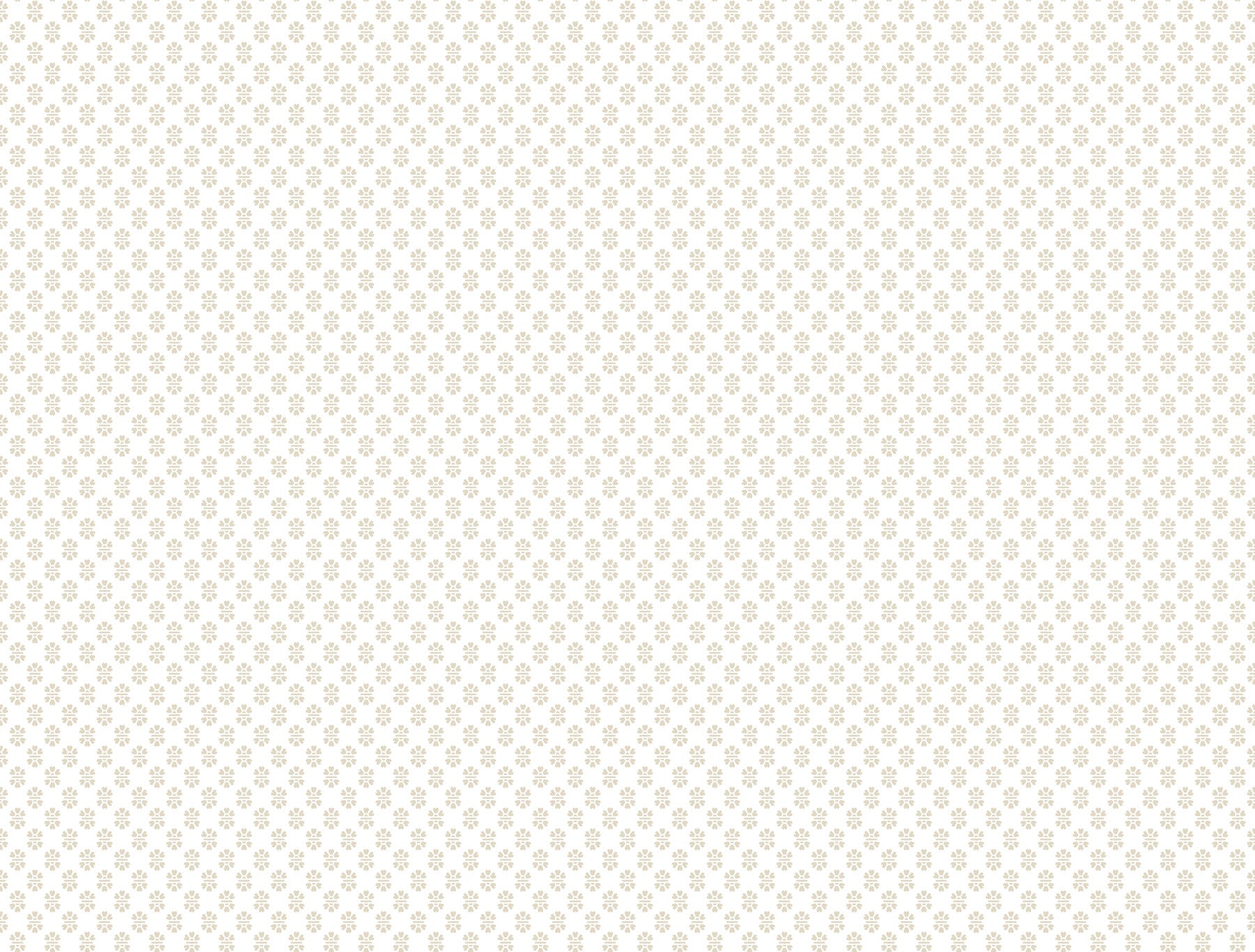 Brioni wallpaper in beige color - pattern number VP1393 - by Antonina Vella in the Jardin collection