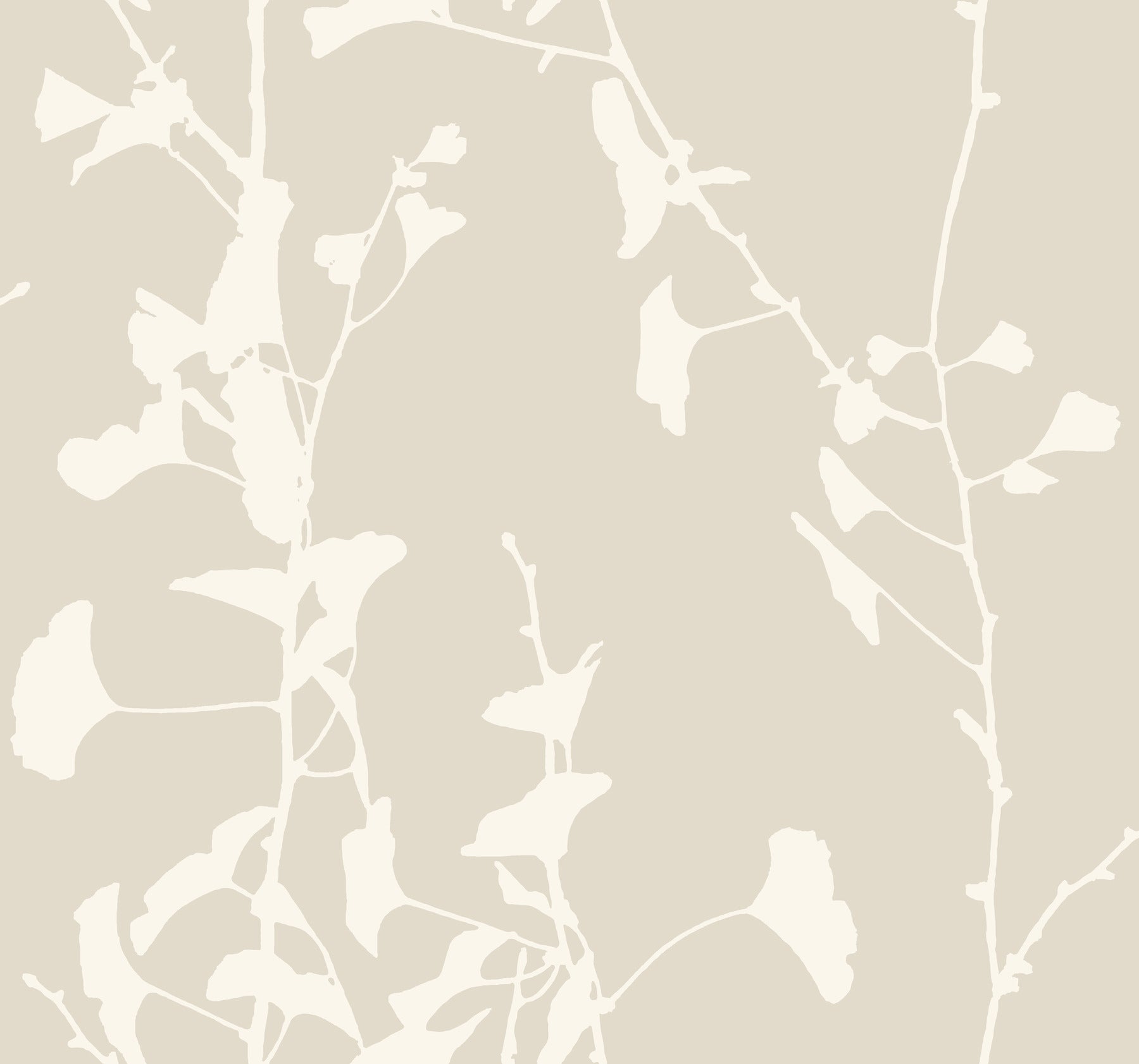 Ginkgo Silhouette wallpaper in taupe color - pattern number VR1507 - by Ronald Redding in the Caviar collection