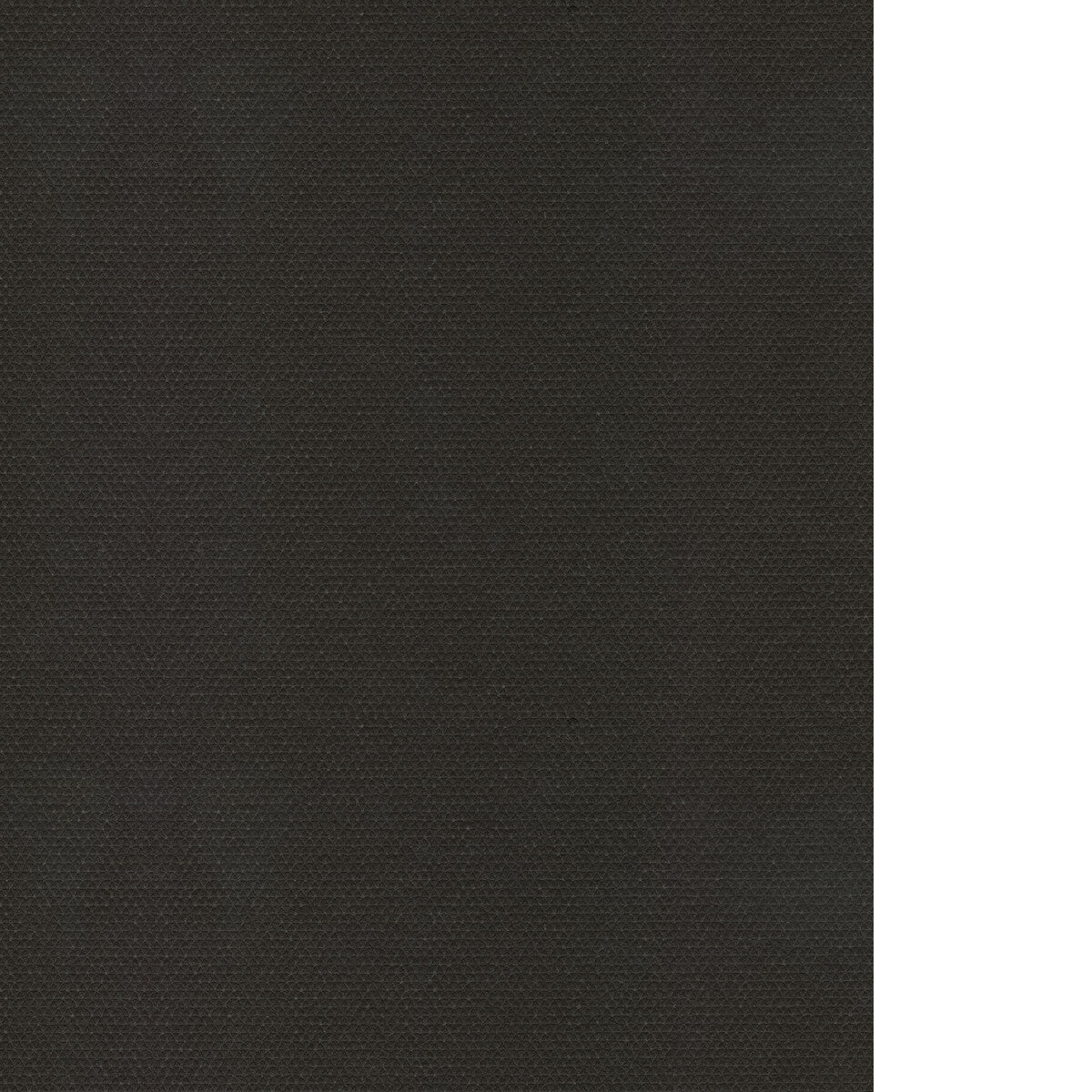 Silhouette Wallpaper in black color - pattern number WAC1240.WT.0 - by Winfield Thybony in the Stillewall Acoustical Wallcoverings collection