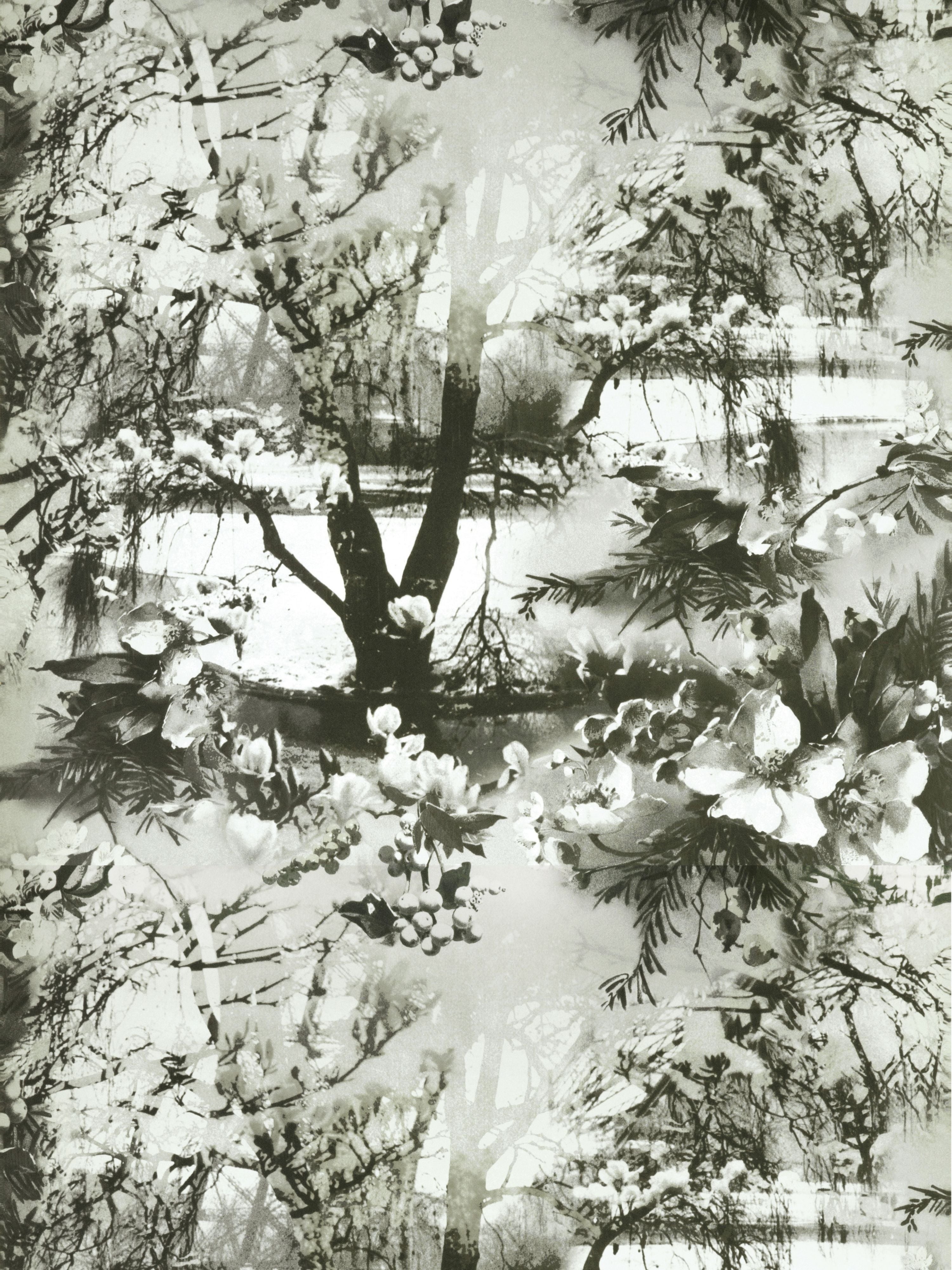 Brume wallpaper in ecru noir color - pattern number WH 000013307 - by Scalamandre in the collection